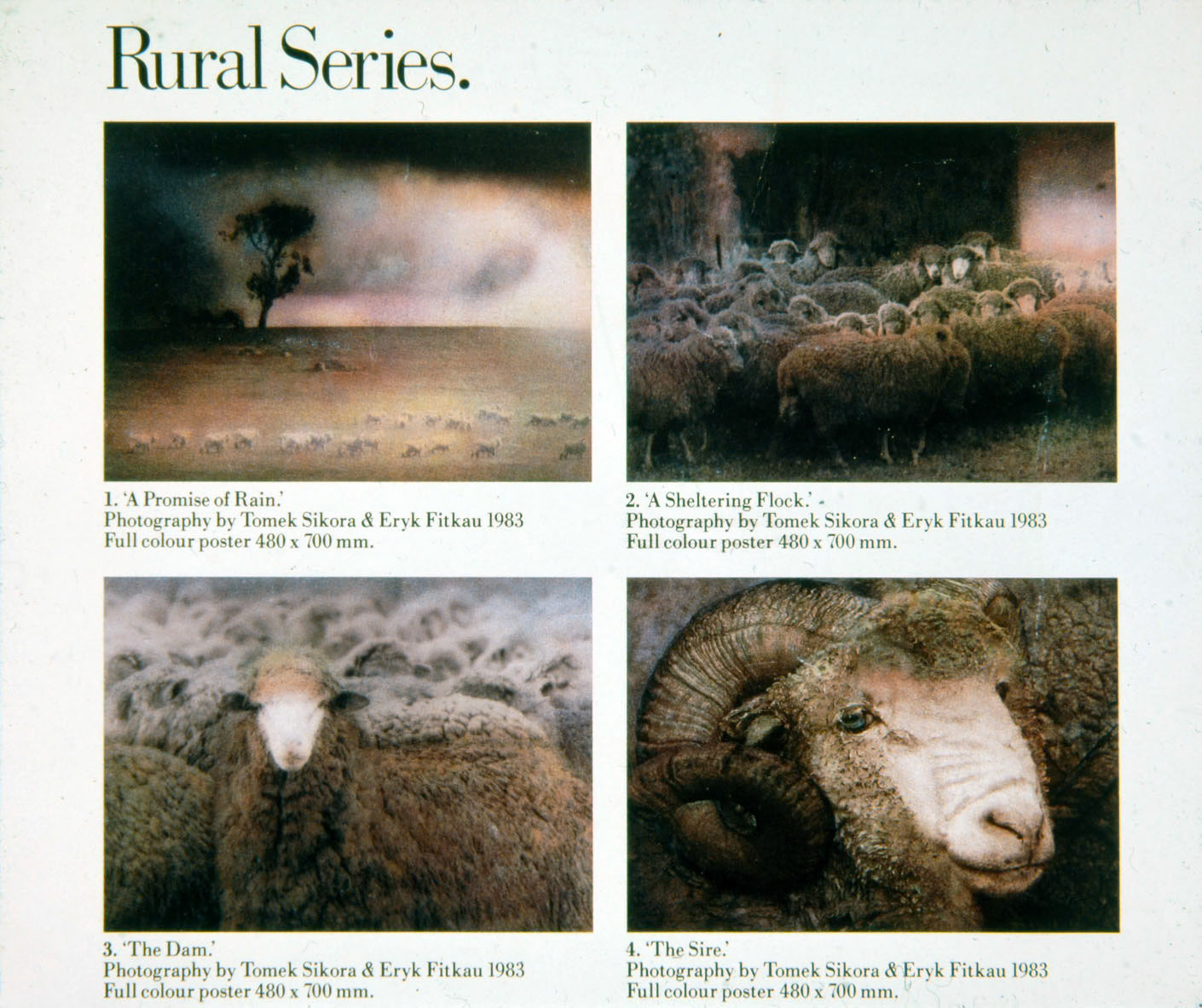 Wool Corporation Australia