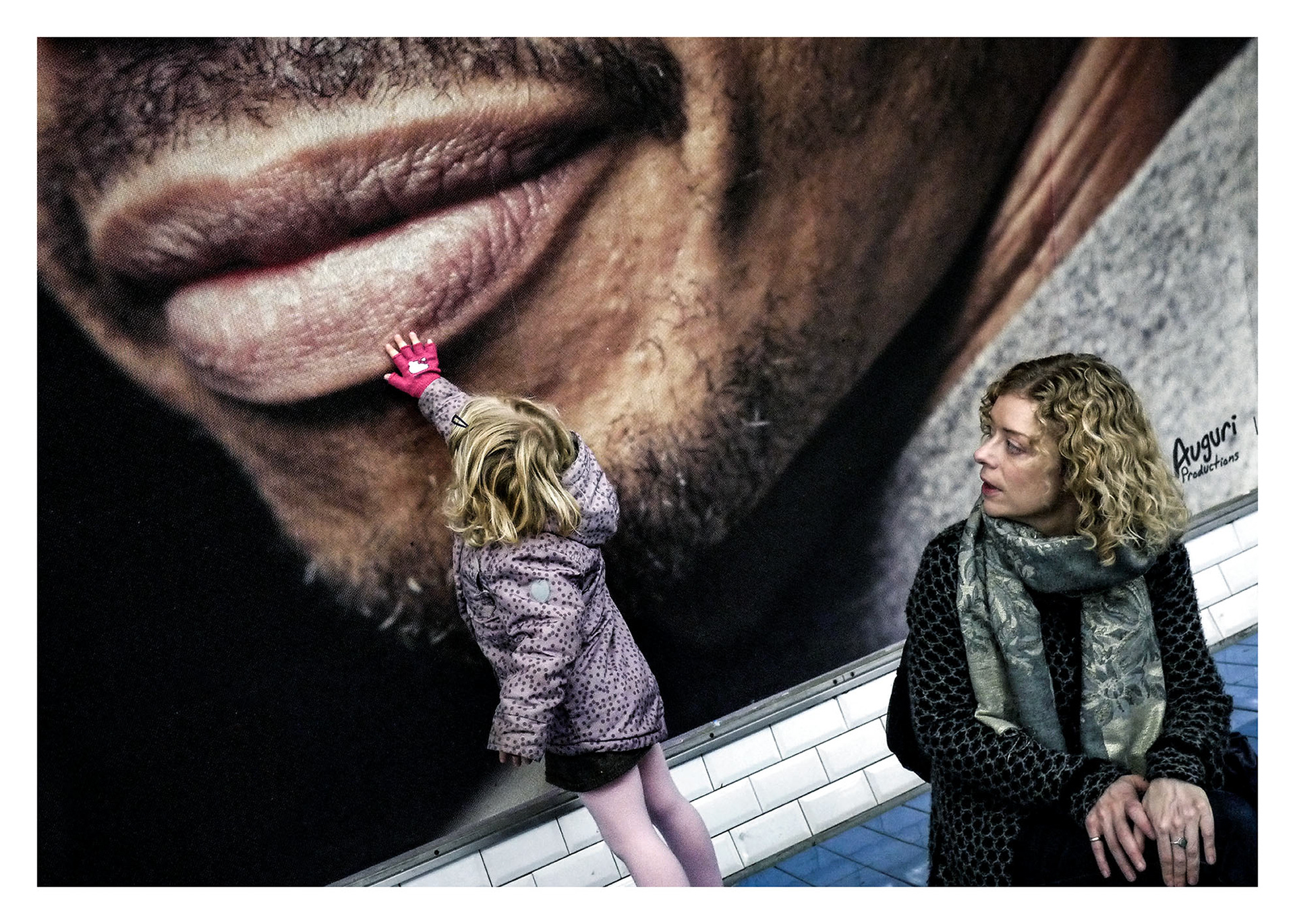 Tekst Sylwia Chutnik