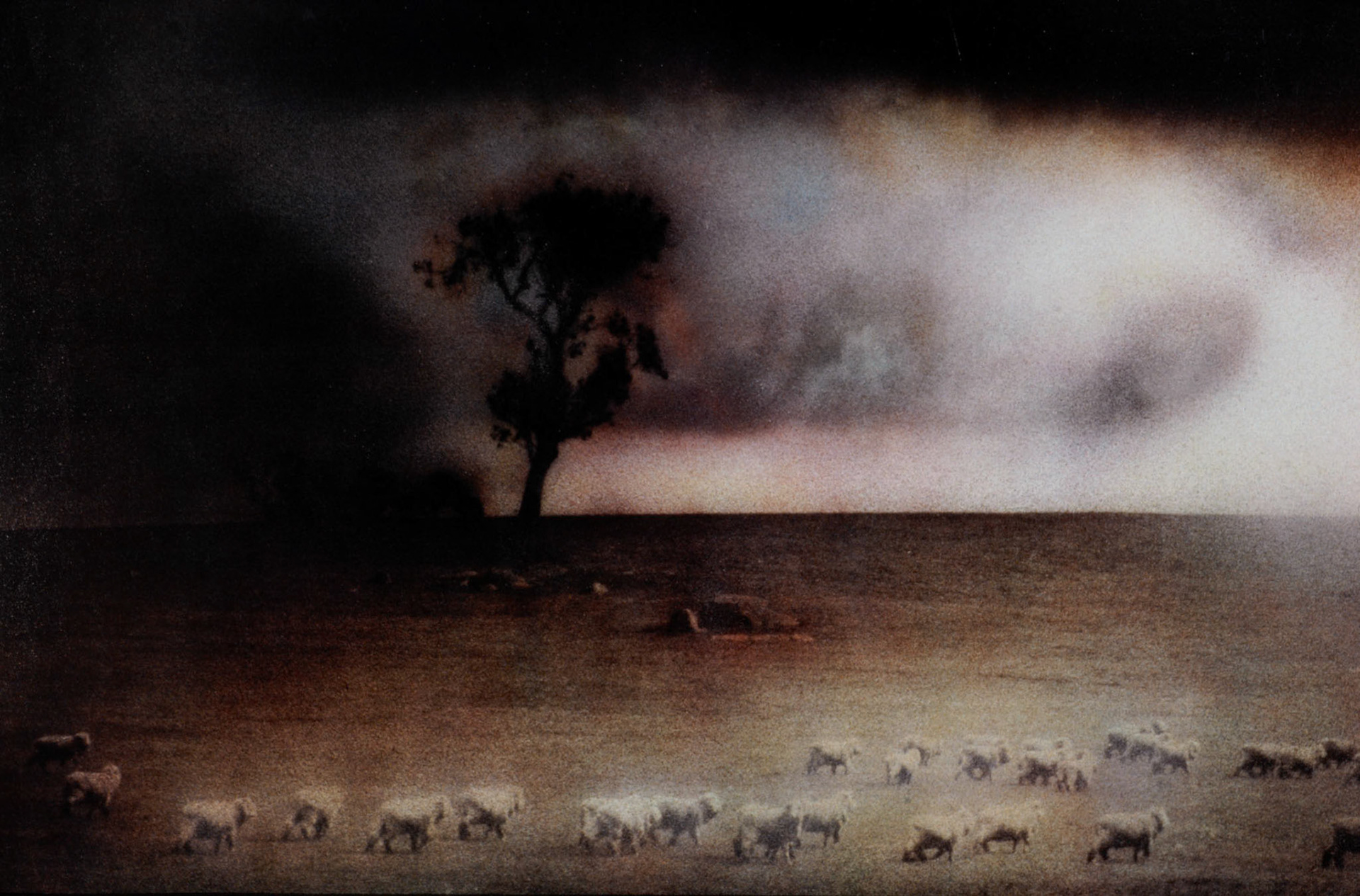Wool Corporation Australia