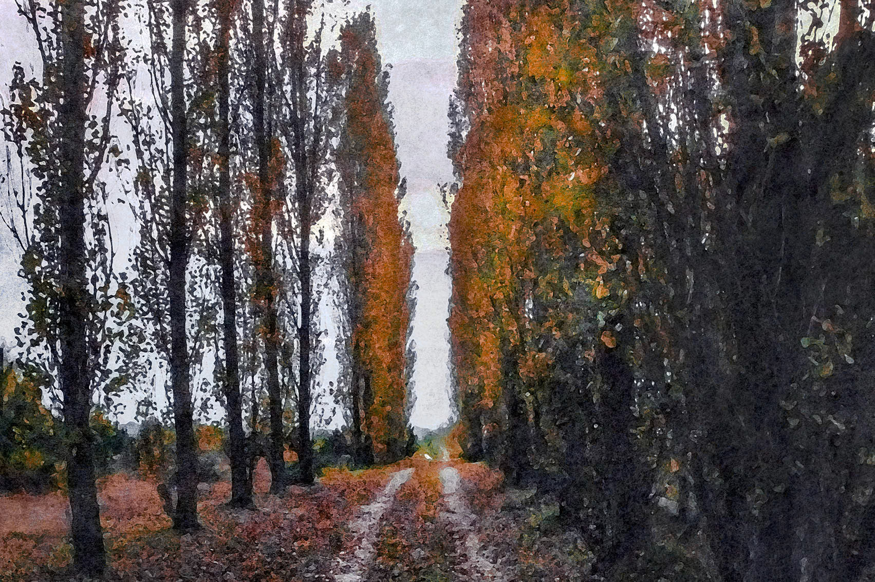 Obrazy odkryte Mięćmierz