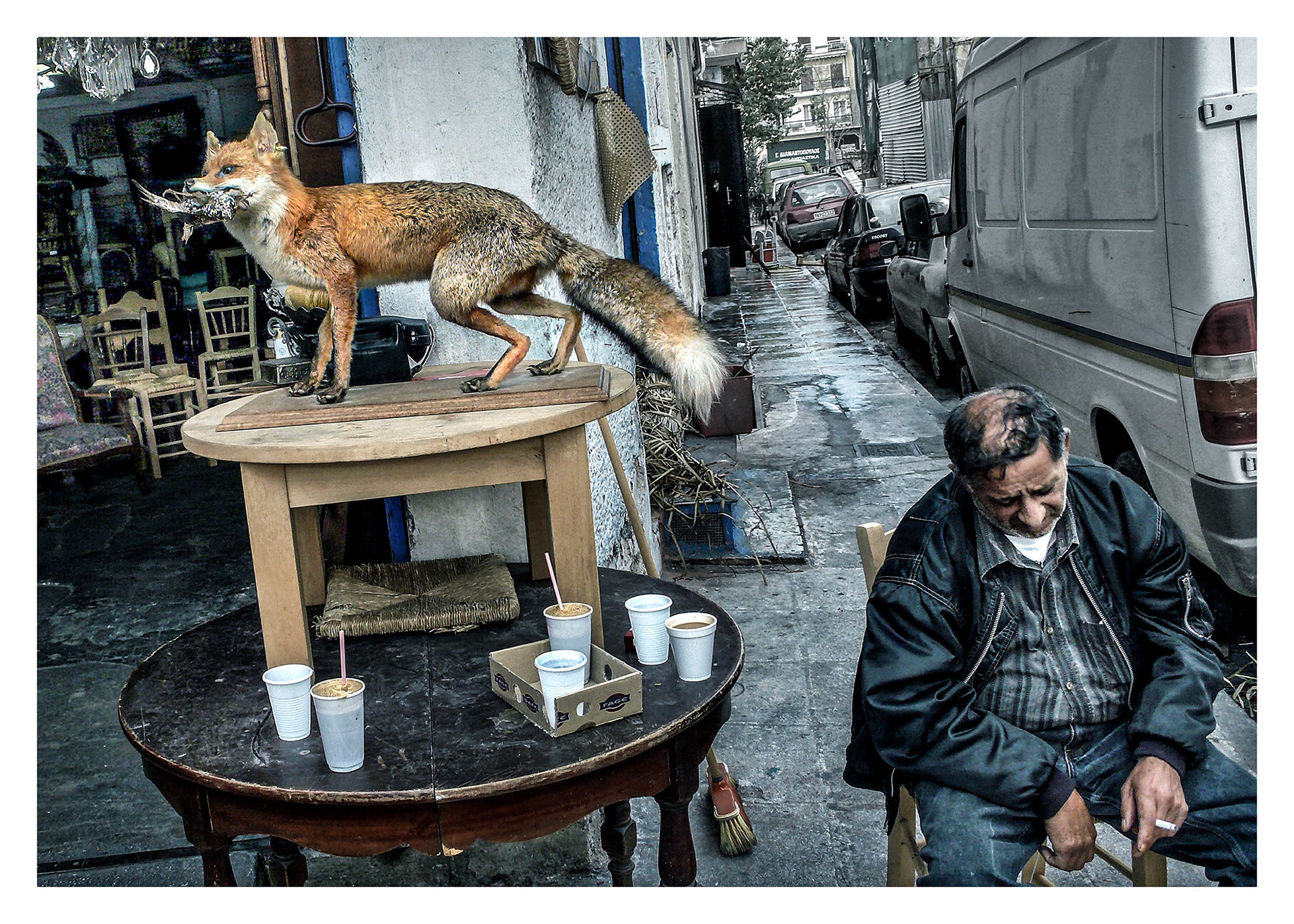 Tekst Bożena Stachurą