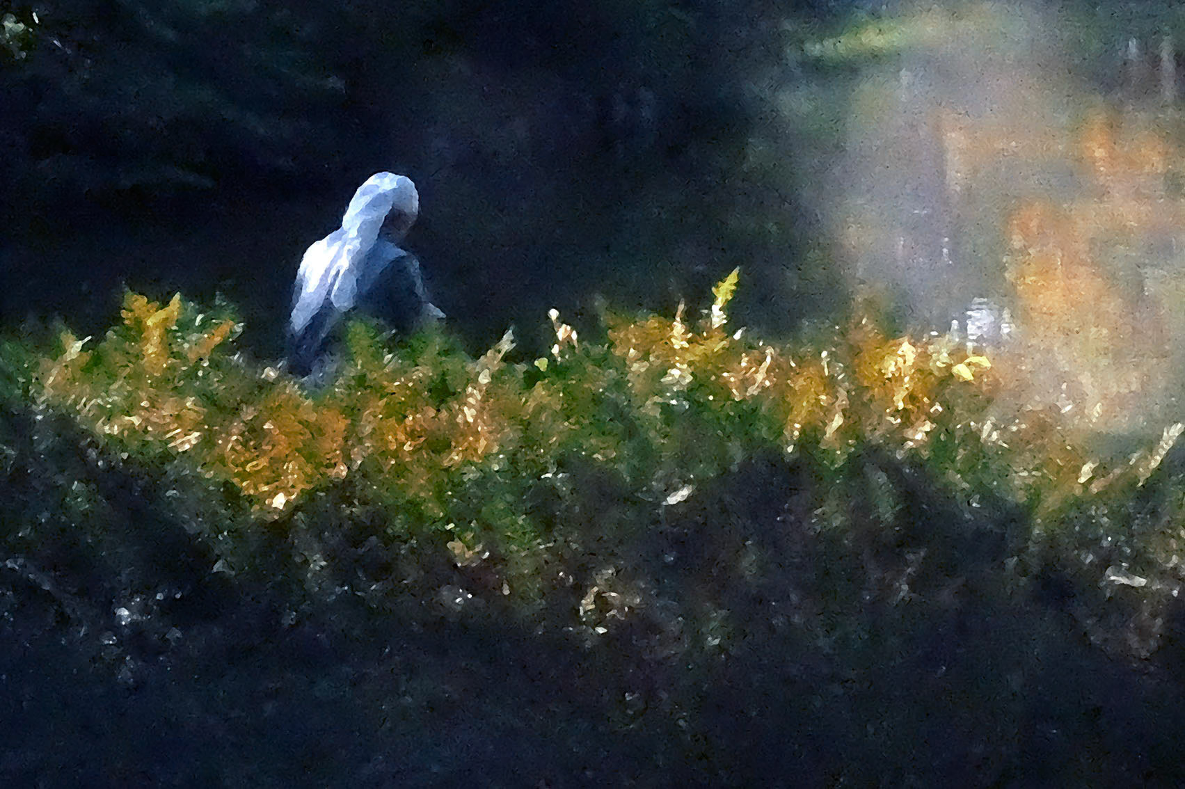 Obrazy odkryte najnowsze W-wa