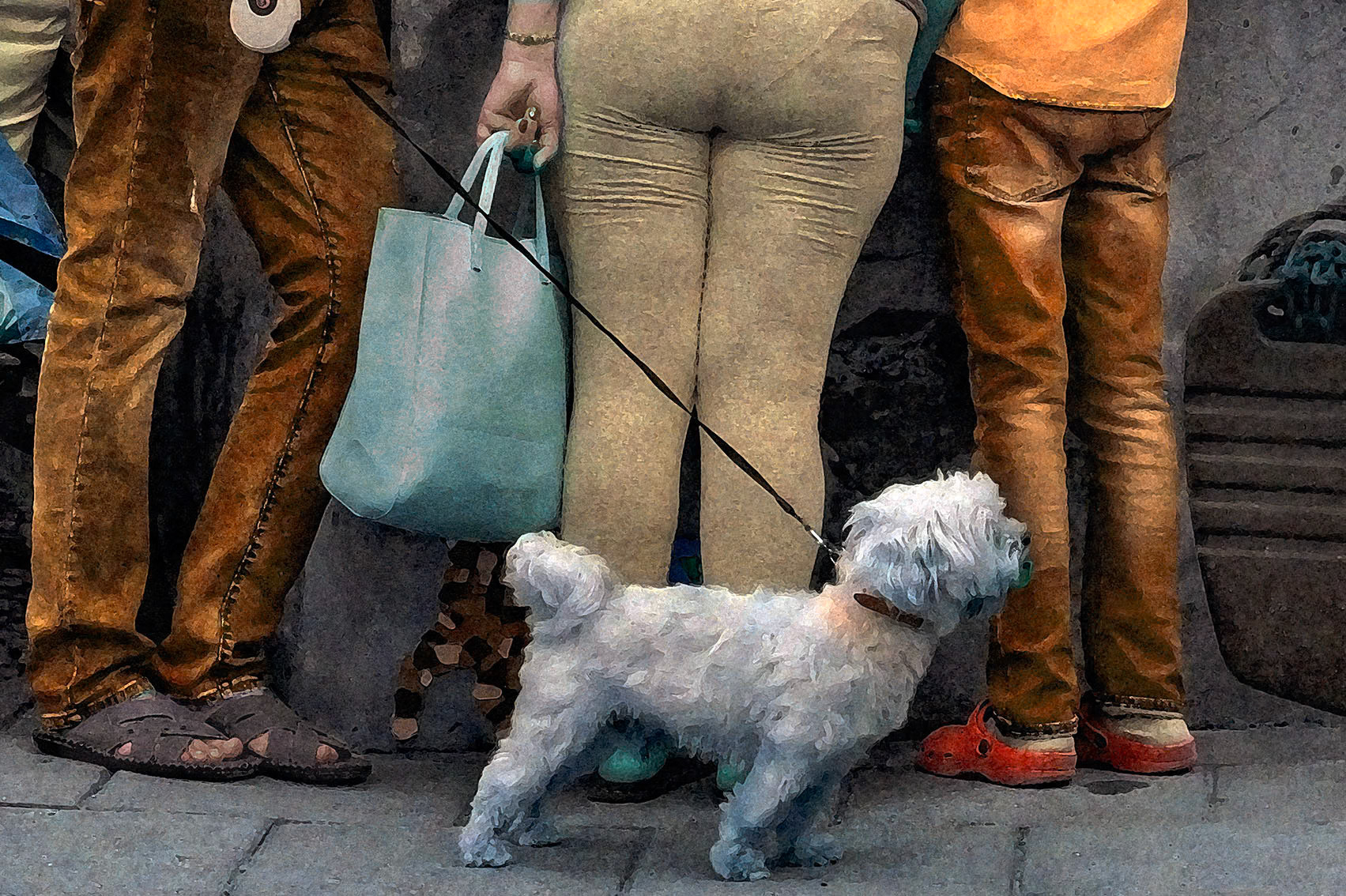 Obrazy odkryte Mięćmierz