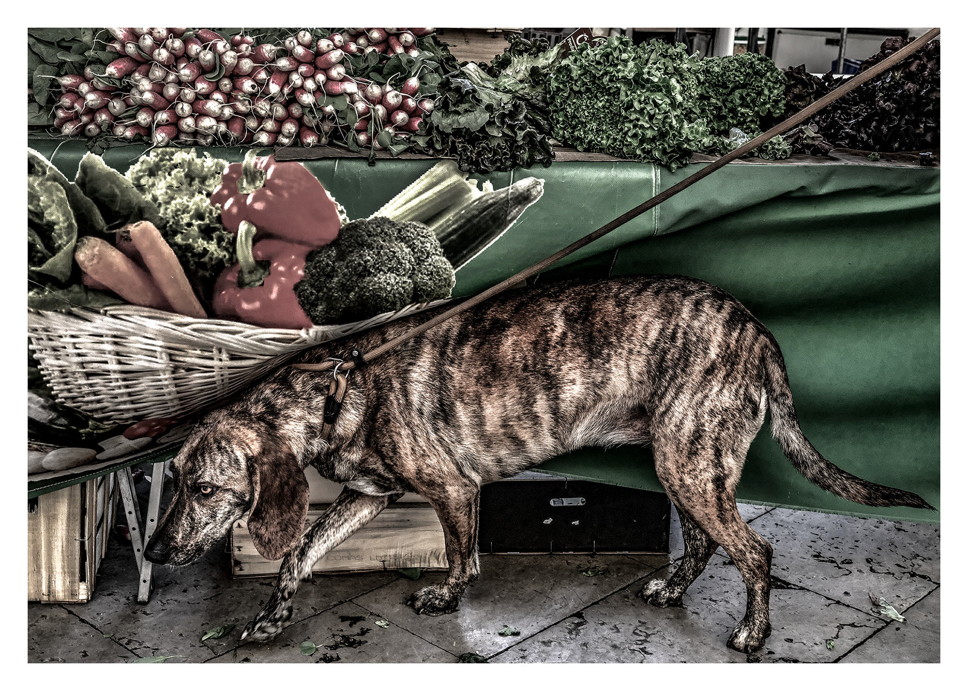 Tekst Aleksandra Szarłat