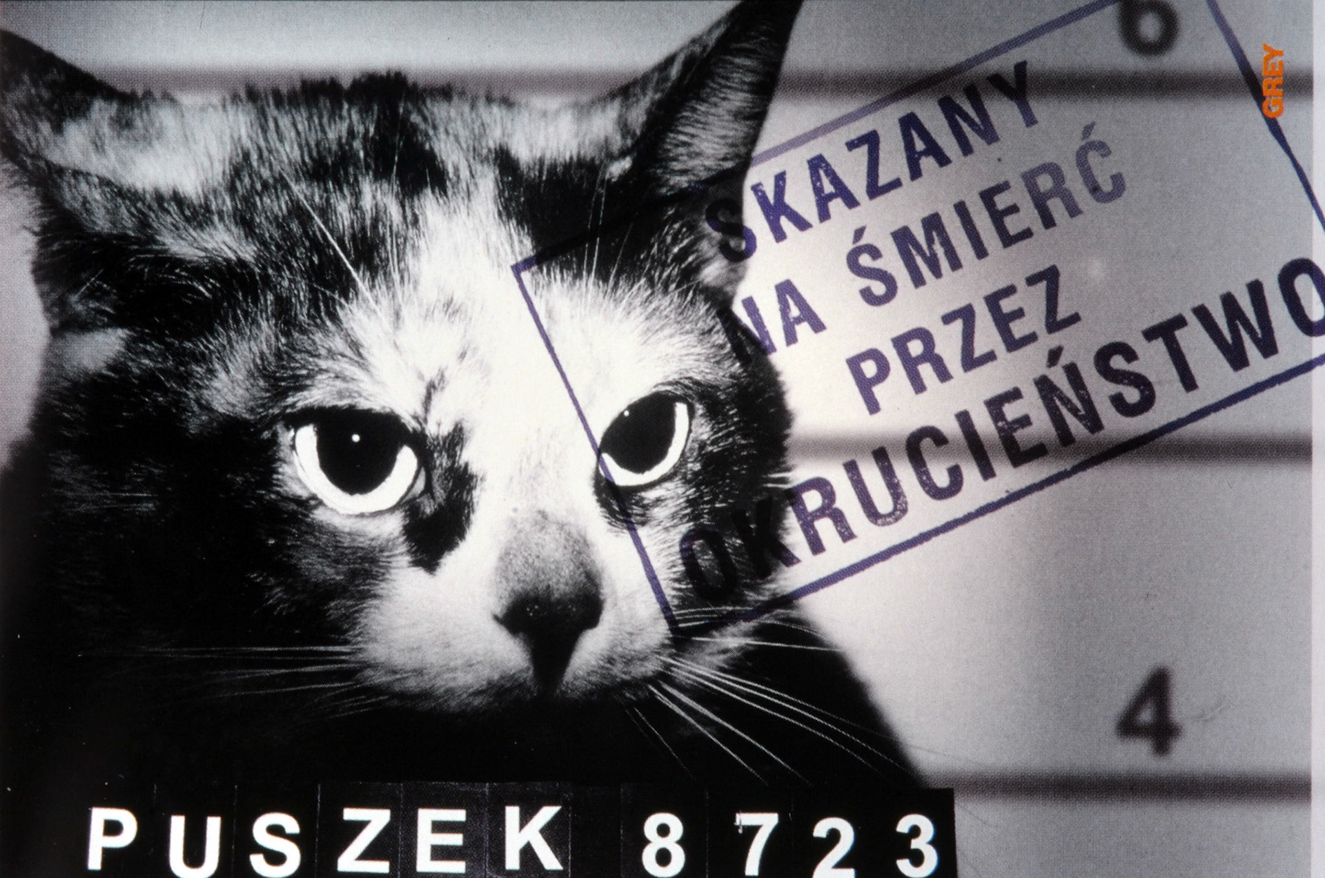 kampania społeczna
