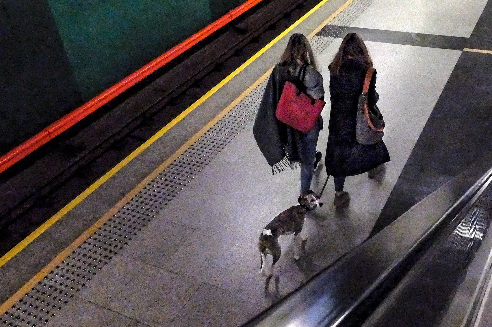 Obrazy odkryte Warszawa 2020