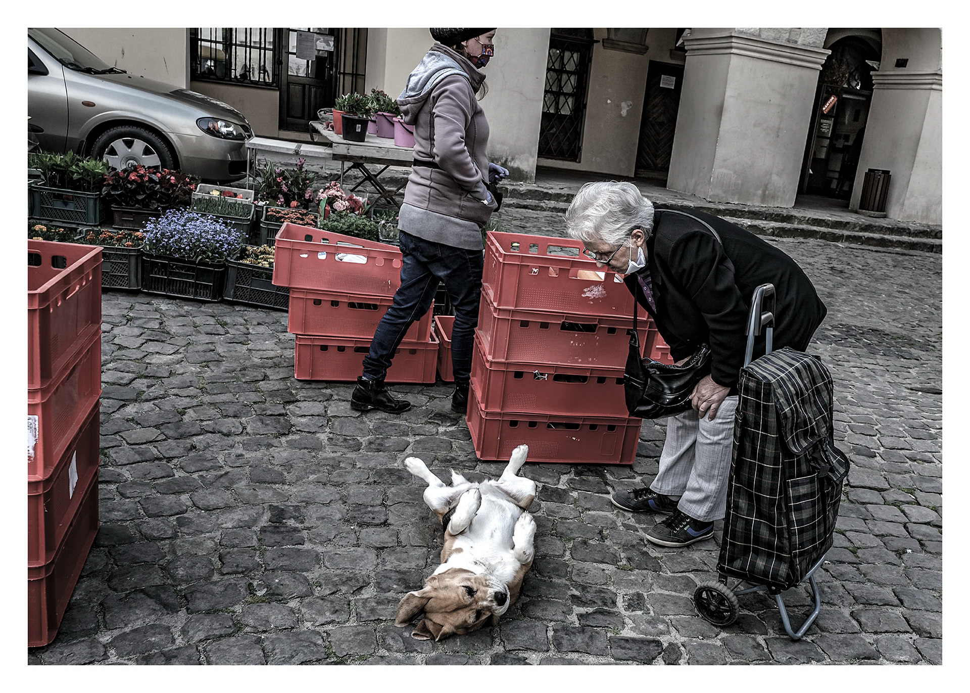 Tekst Grzegorz Sowula