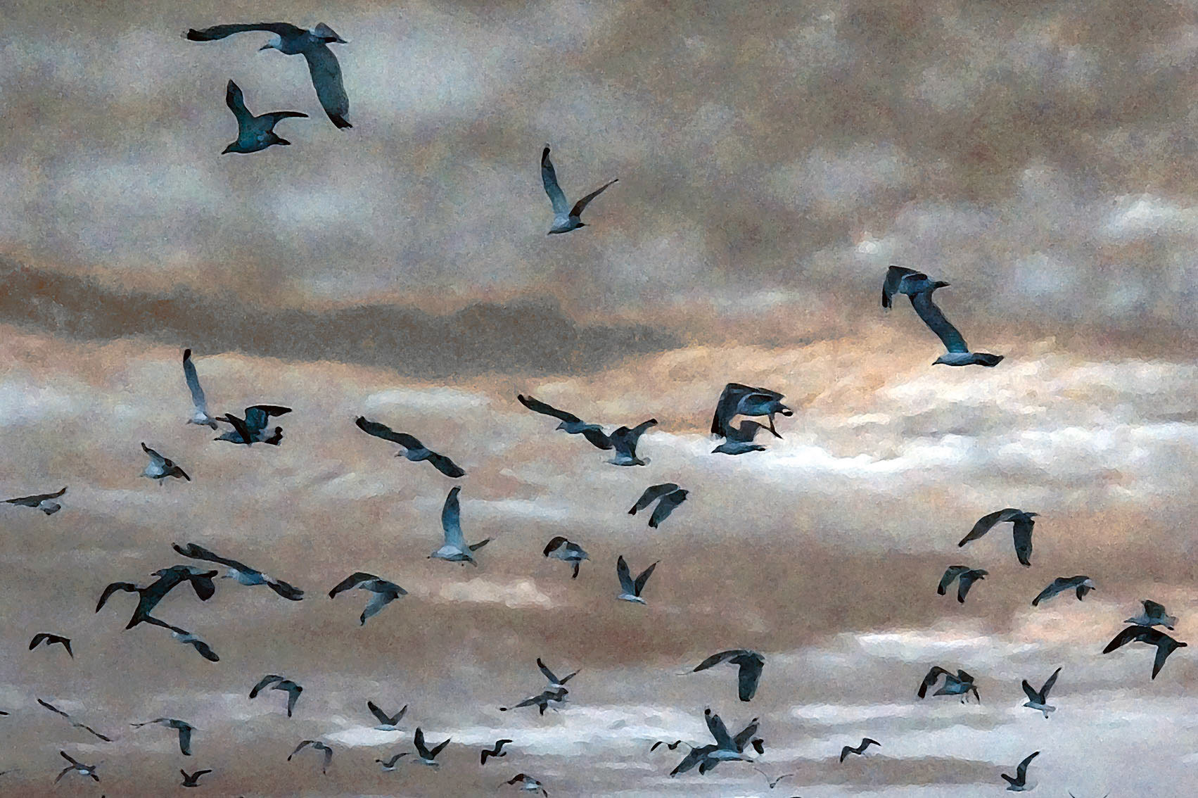 Obrazy odkryte Ustka