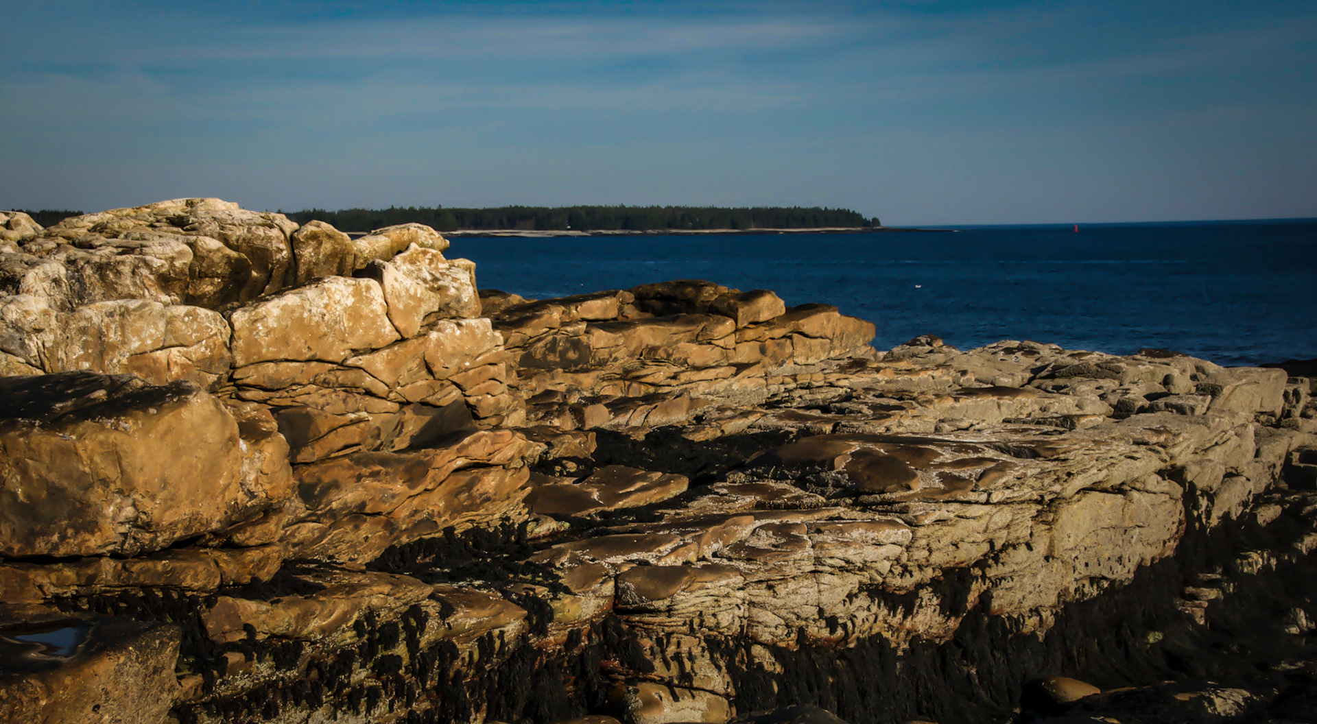 _DSC6979.NEF