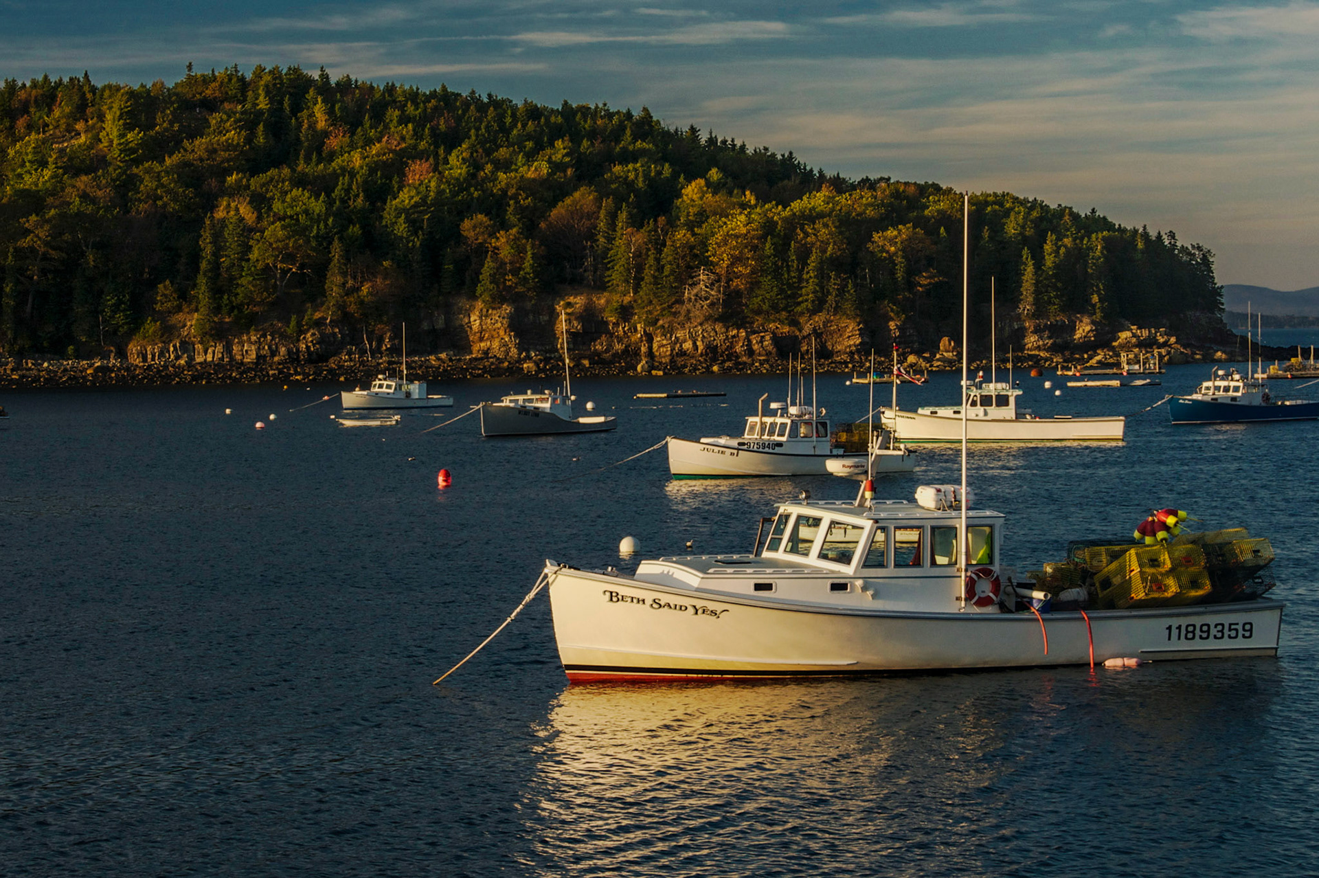 _DSC7394.NEF