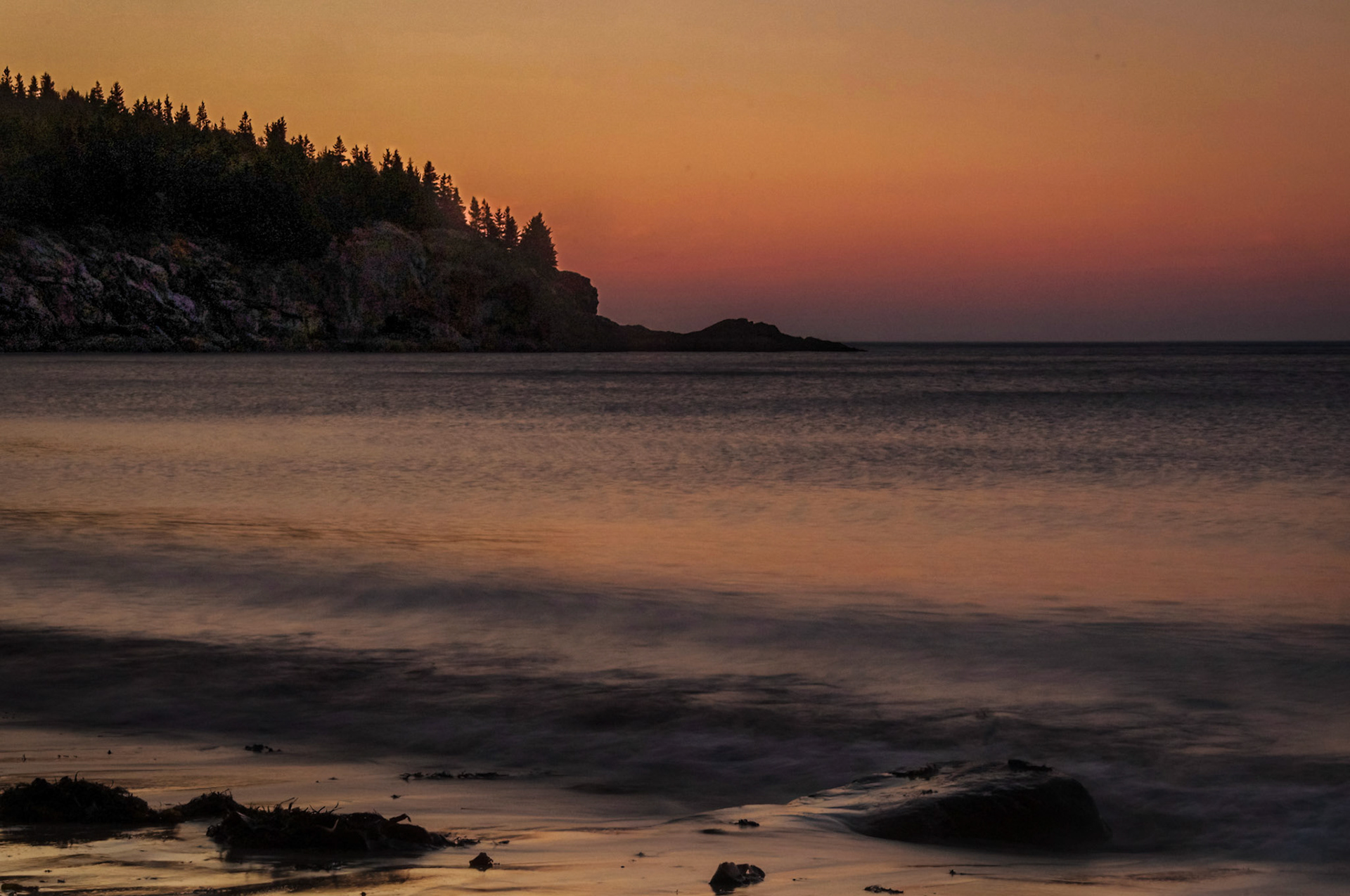 _DSC7507.NEF