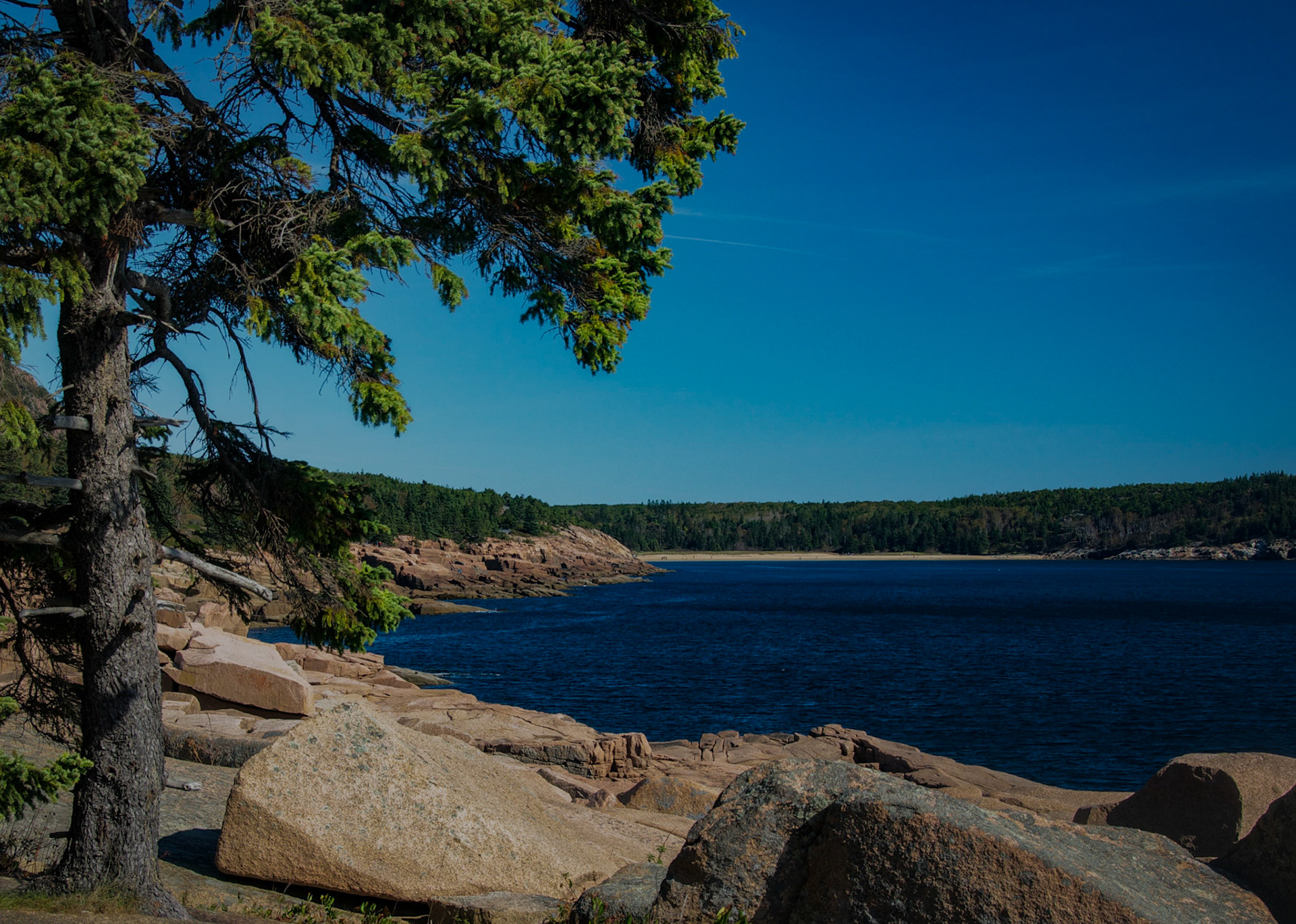 _DSC6640.NEF
