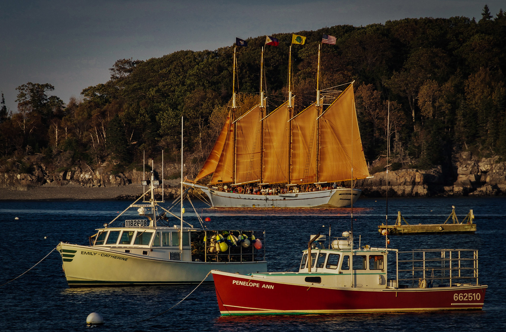 _DSC7401.NEF