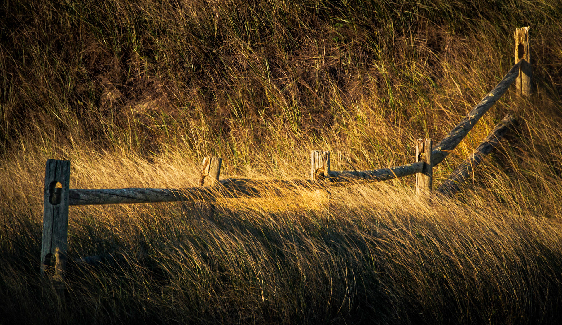 _DSC7610.NEF