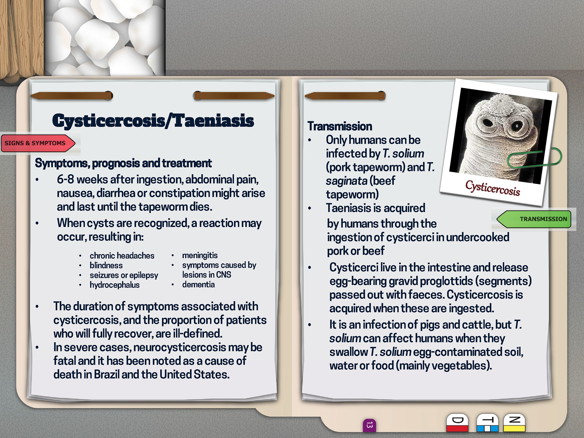 Slide from Interactive Education Module