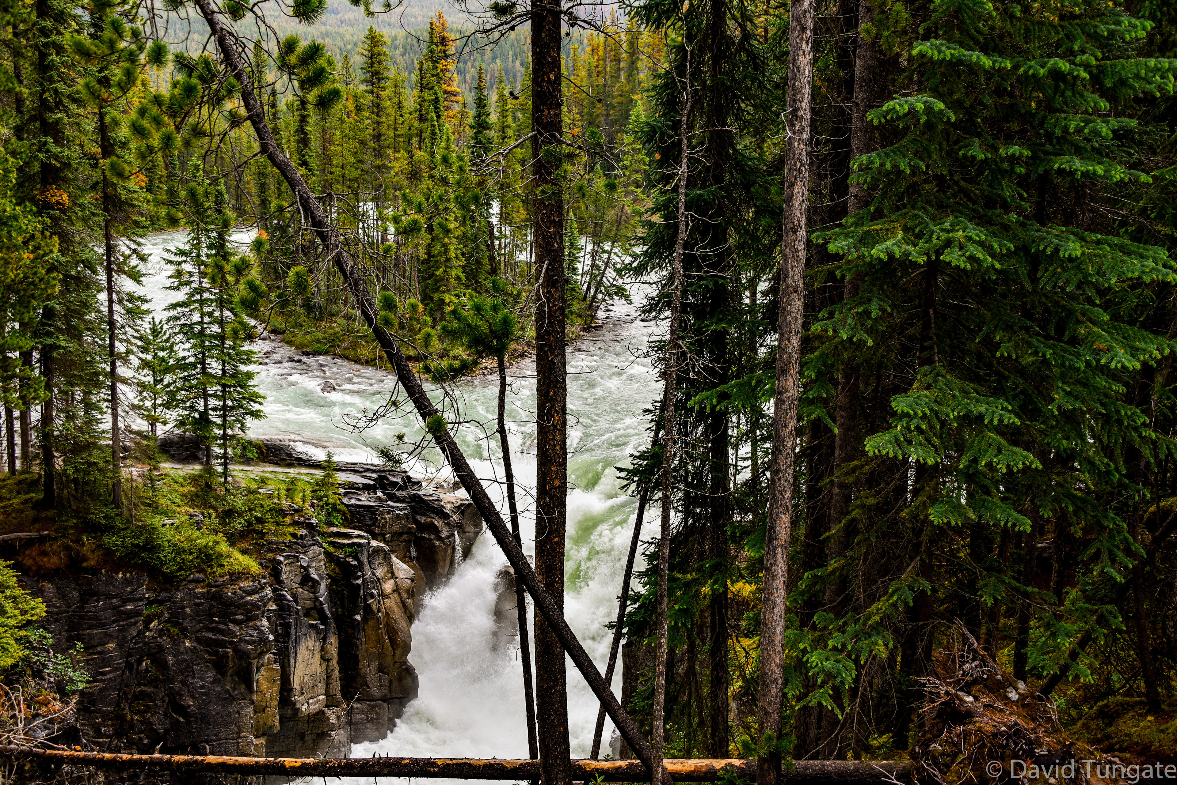 5 Sunwapta Falls, British Columbia