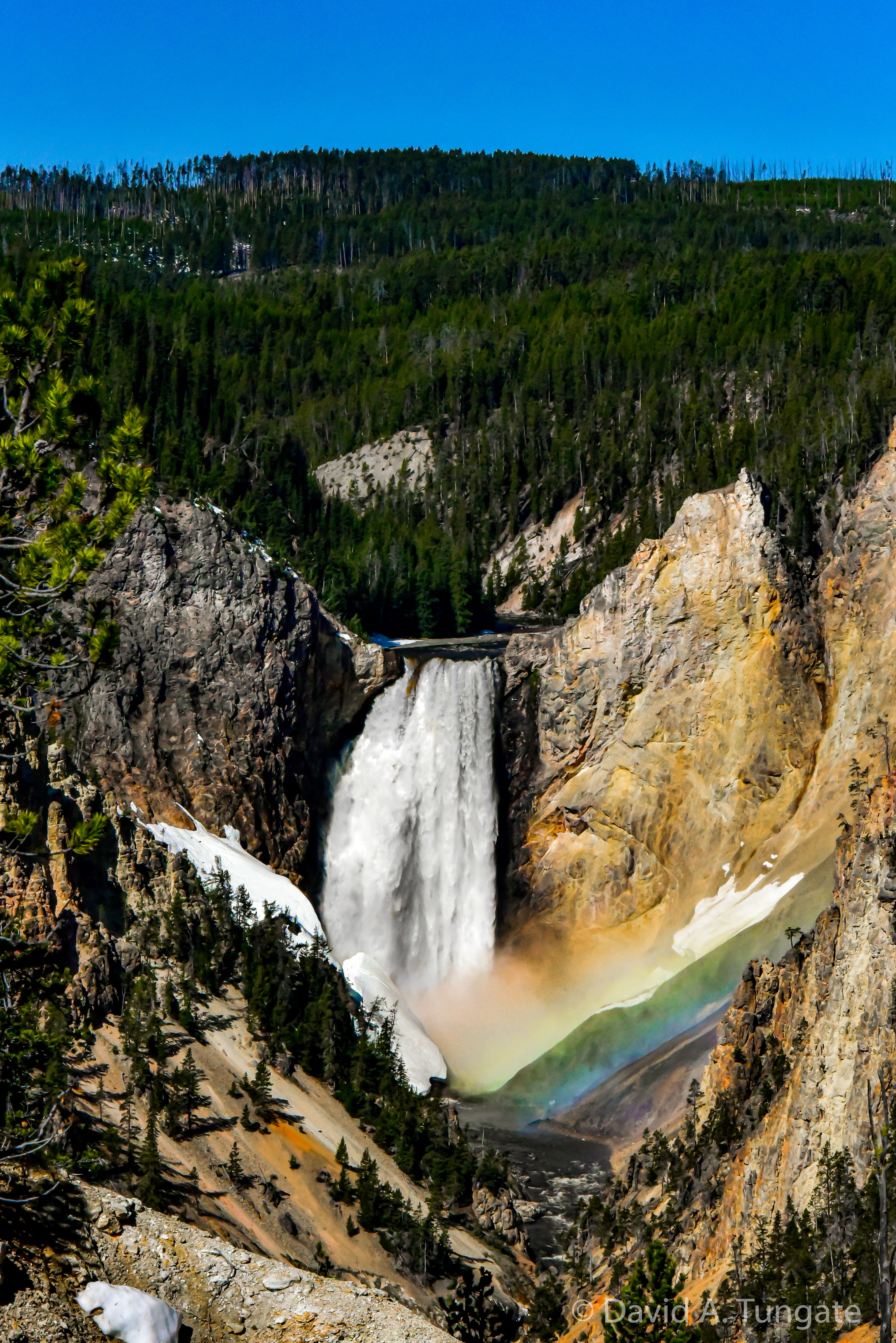 8 Upper Falls, Yellowstone NP