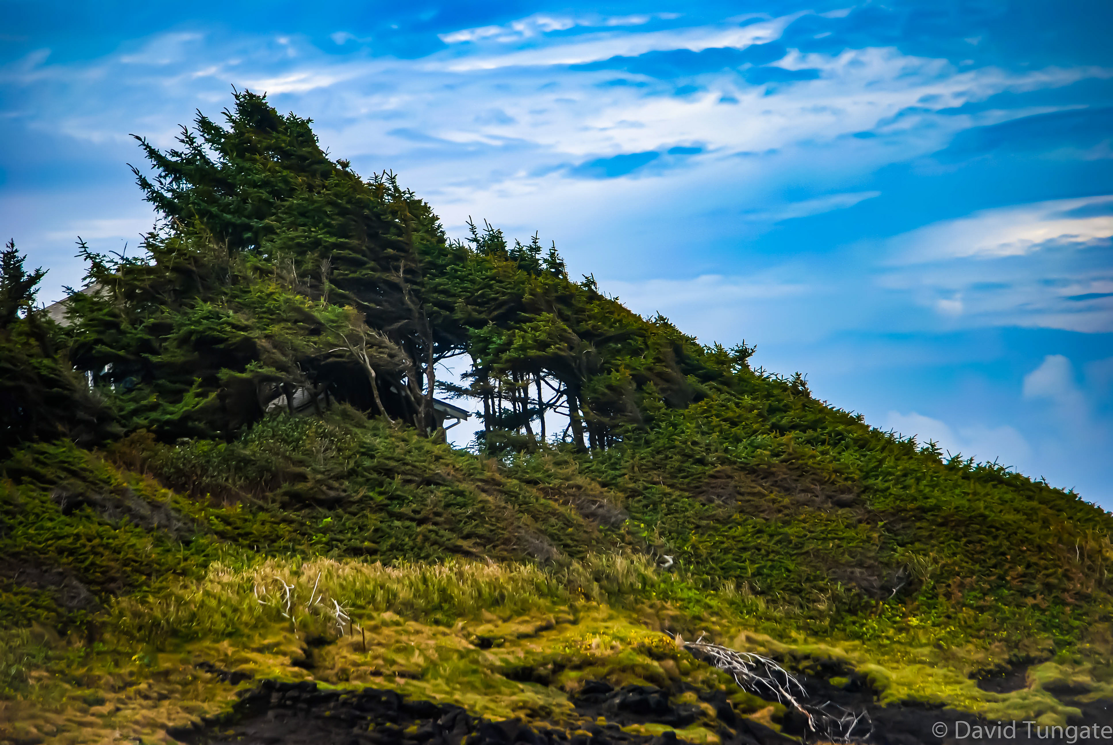 1 Depoe Bay, Oregon