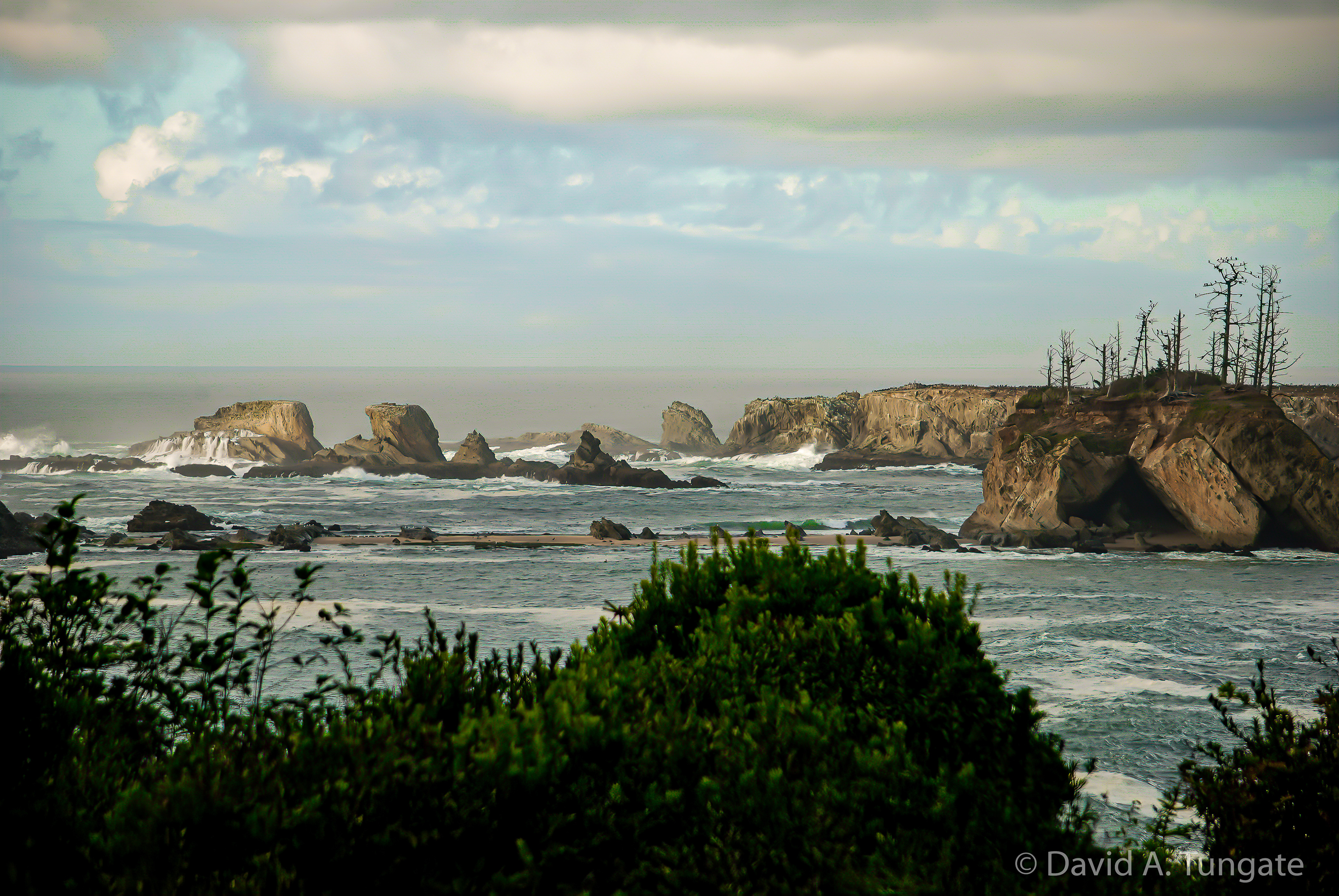 3 Cape Arago, Oregon