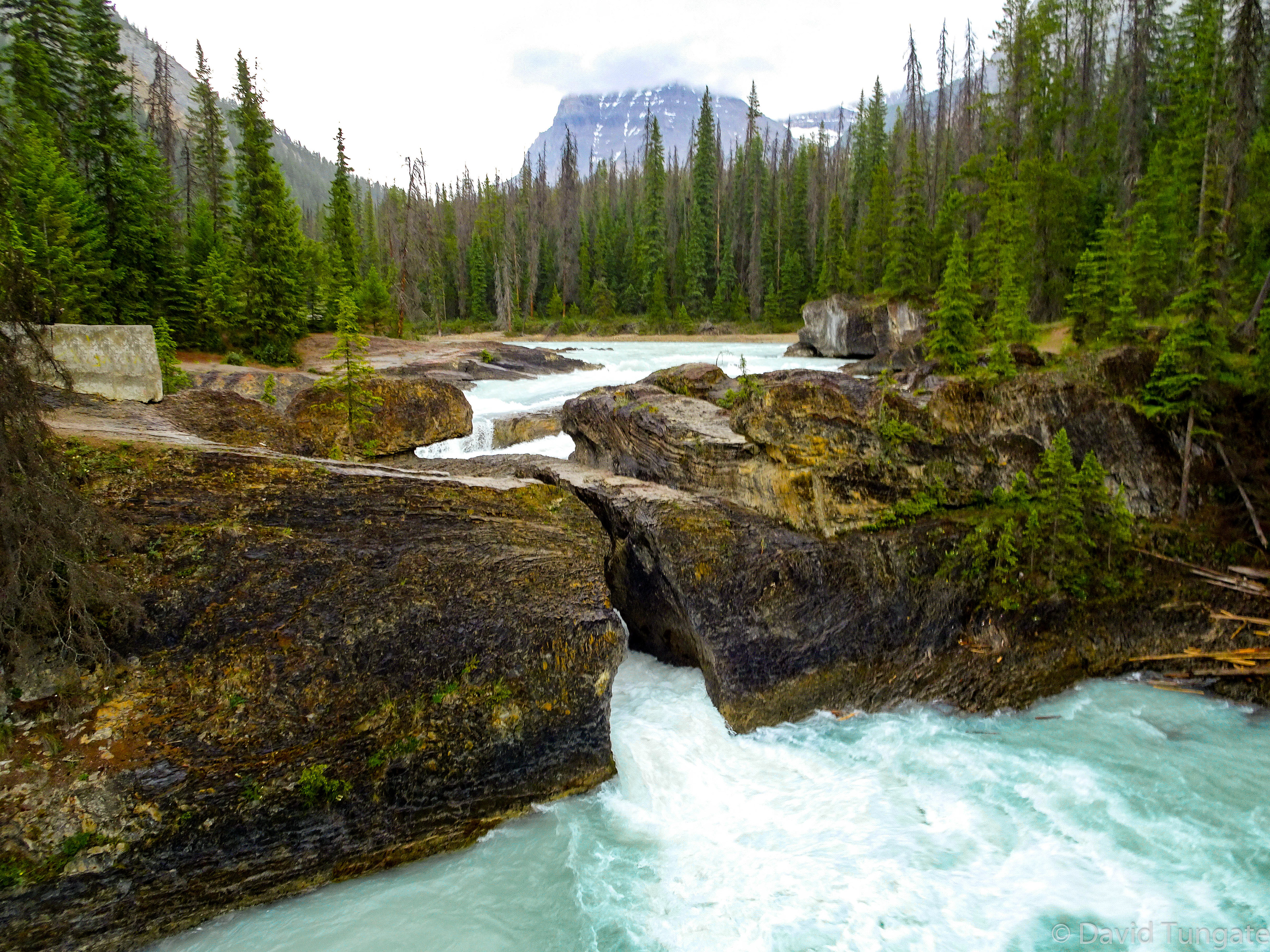 3 Running Eagle Falls, Glacier NP, Montana