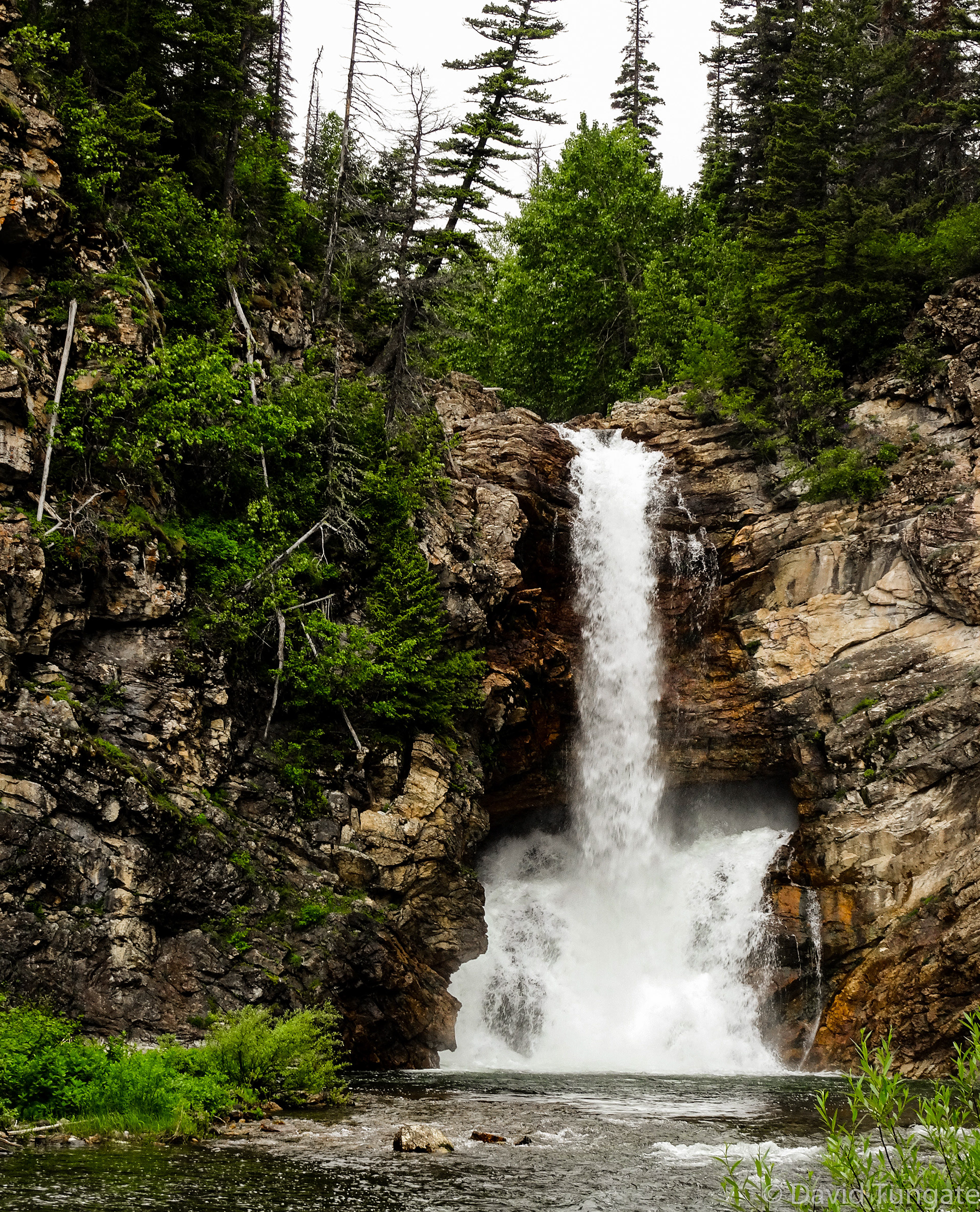 1 Running Eagle Falls, Glacier NP, Montana