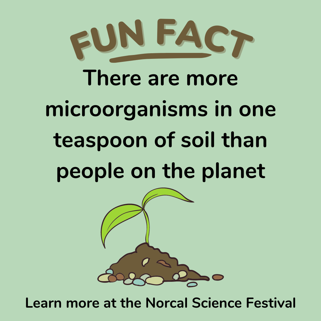 NorCal Science Festival Square Instagram Post 2023