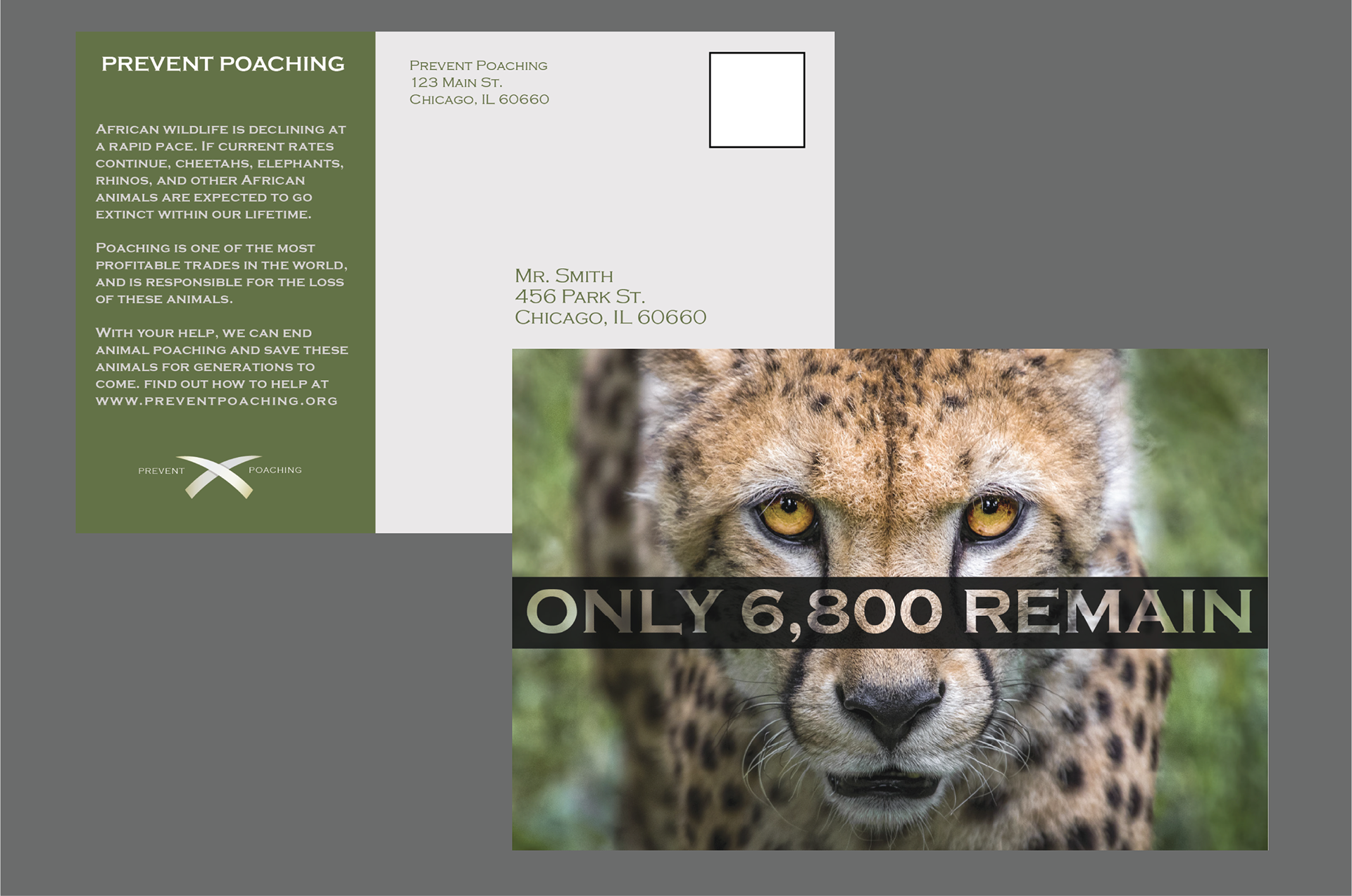 Self-Mailer