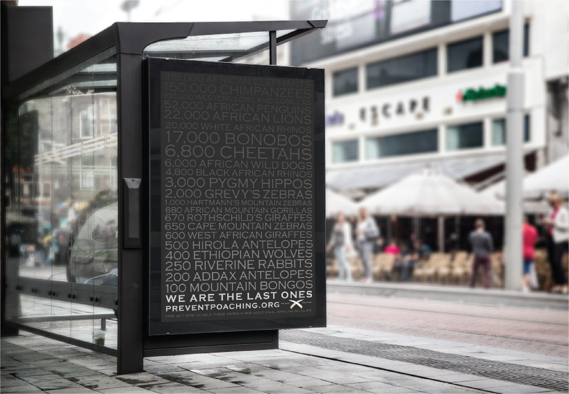 Bus Stop Poster