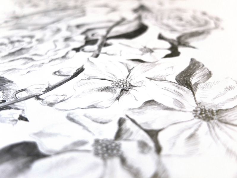 Drawn floral detail on back of bridal shower invitation