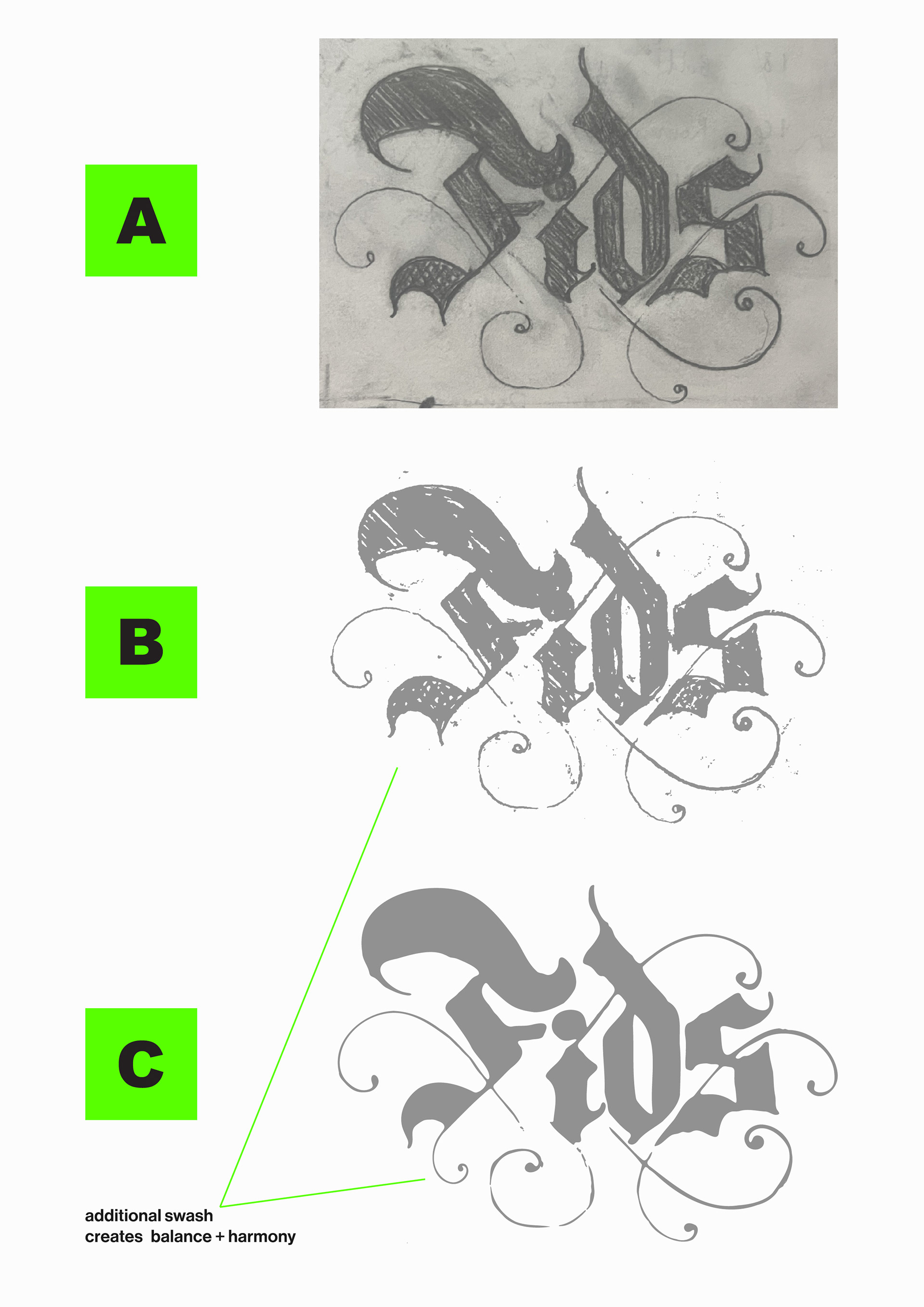 Finalized sketch to vector + touch ups