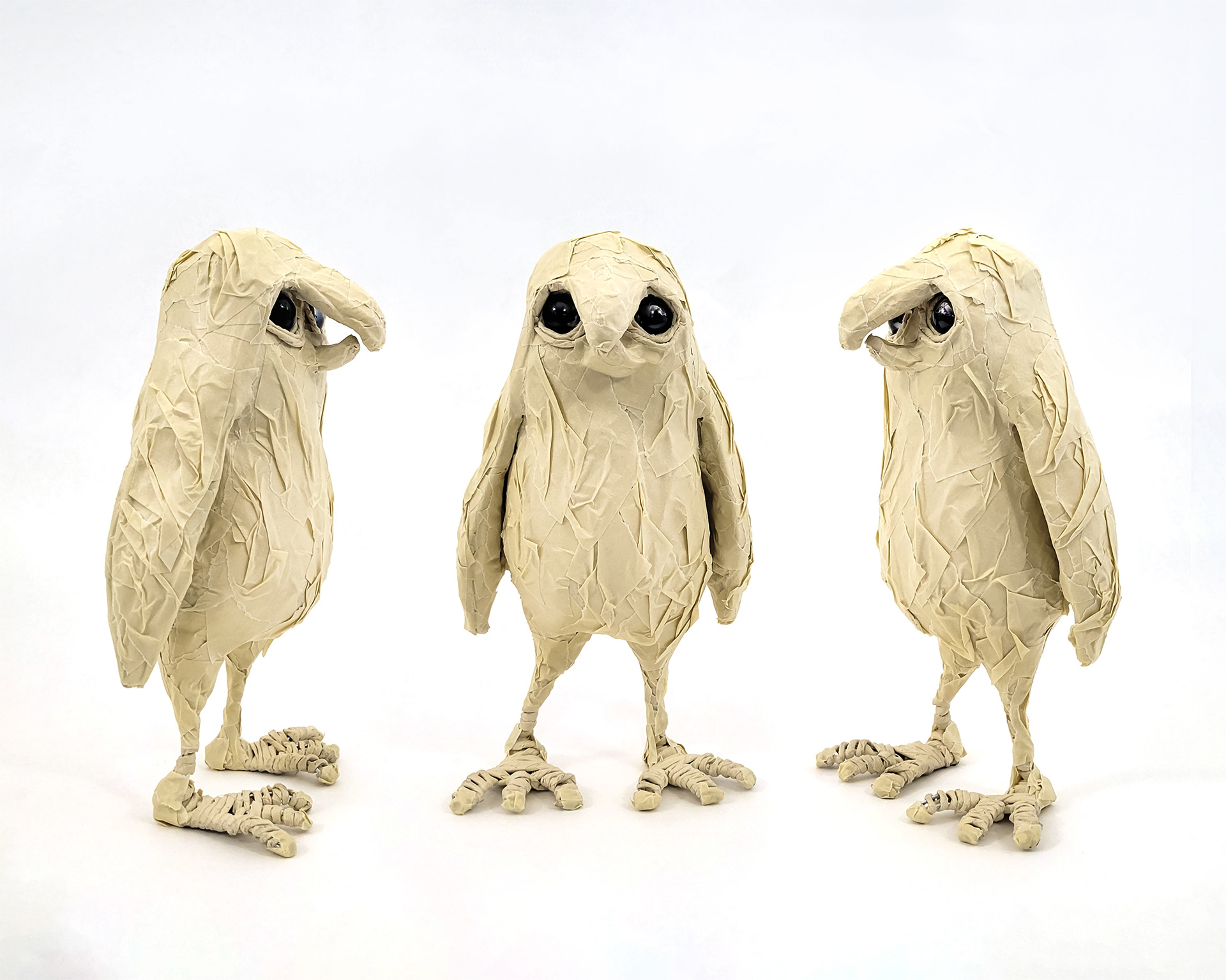 burrowing owl