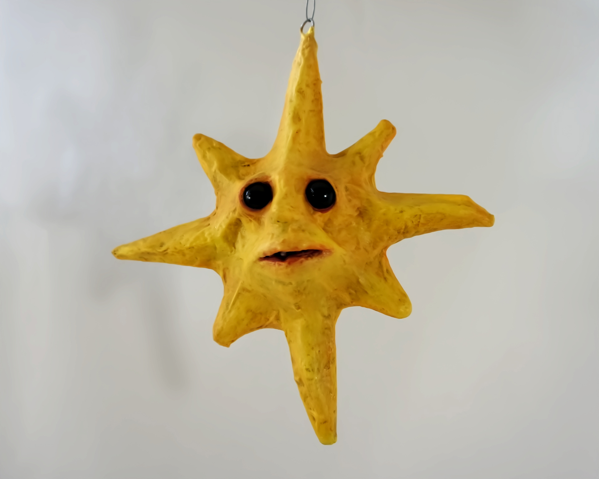 Sal the Star