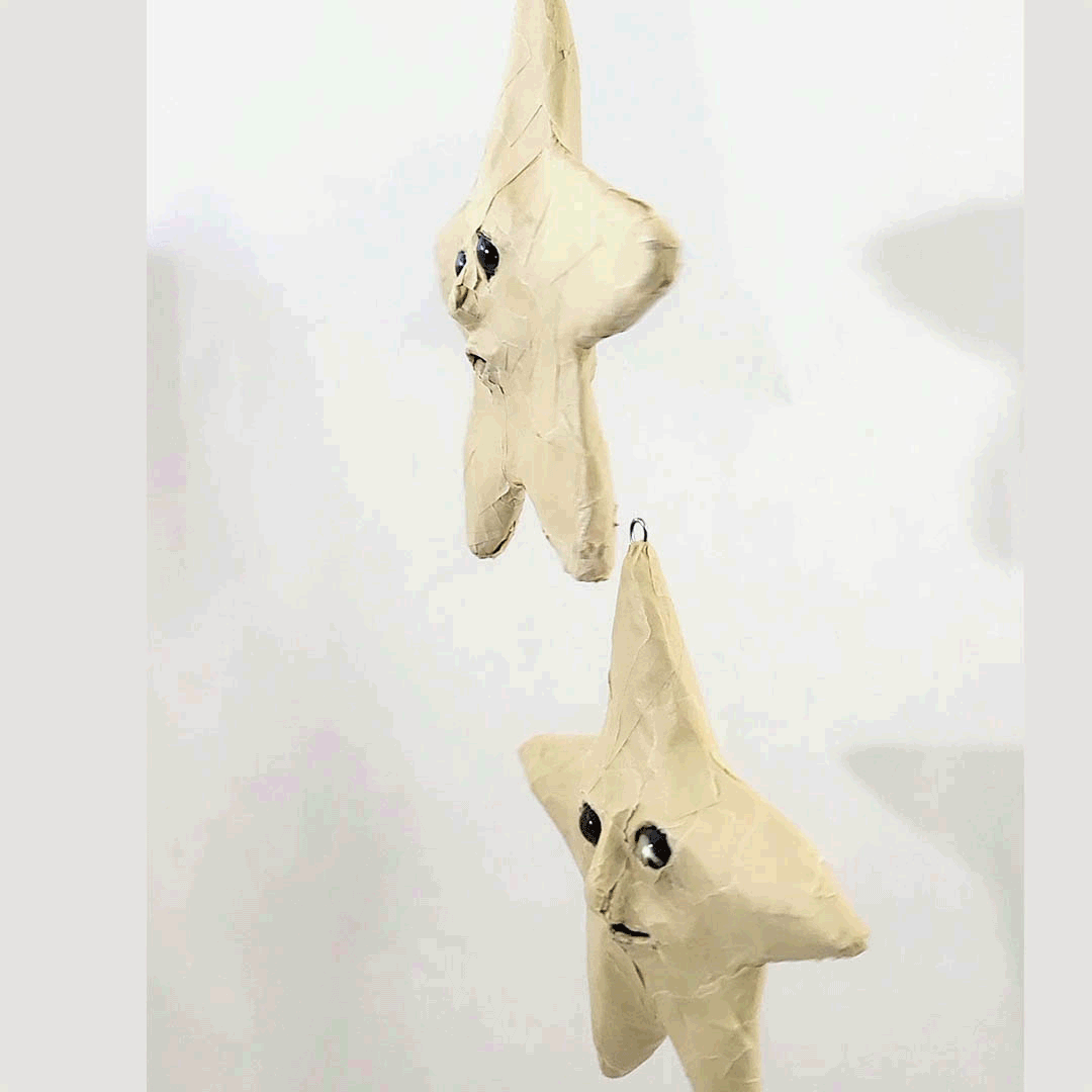 double-sided hanging star