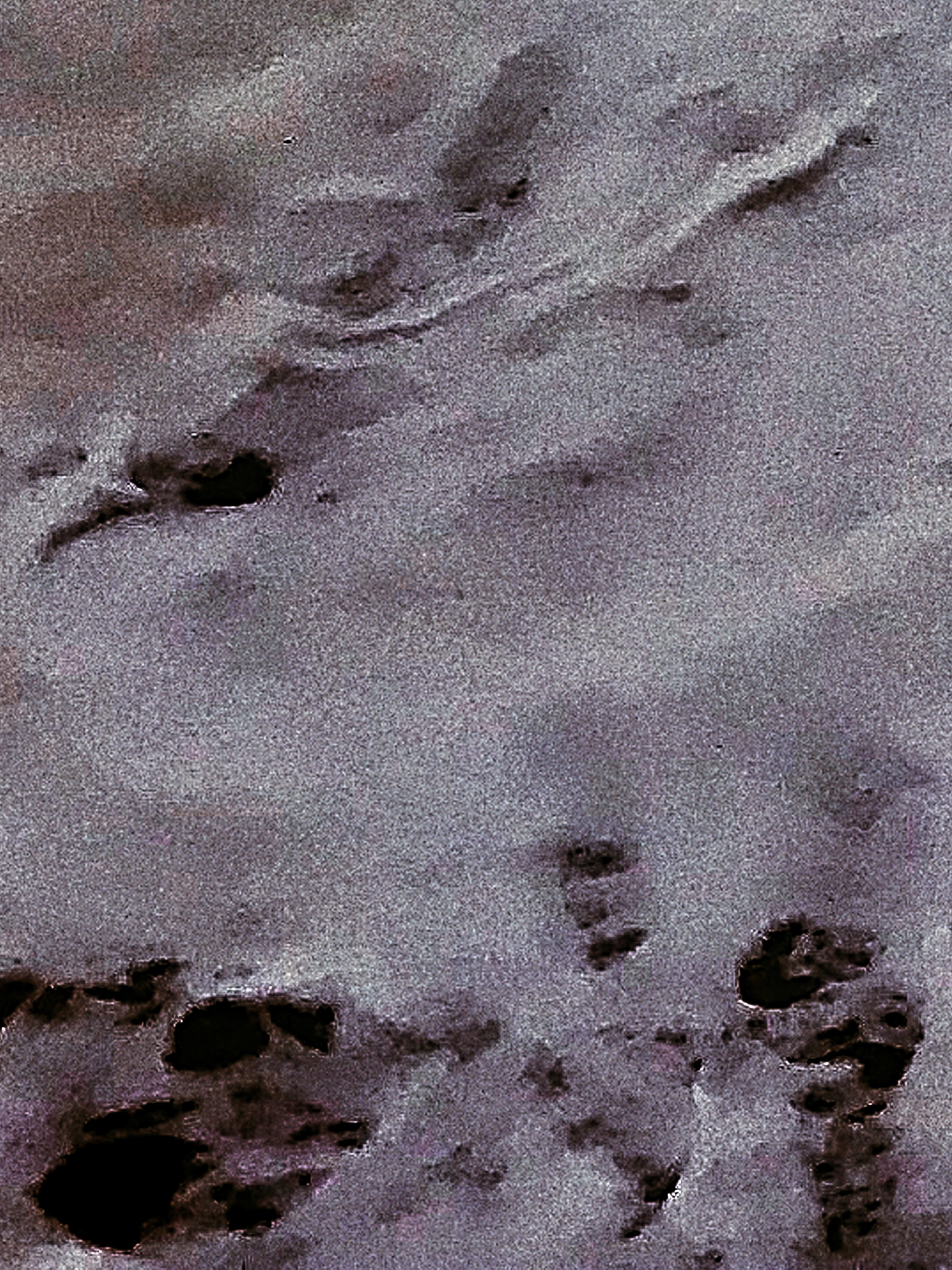Prière de jeter mes cendres dans la mer (détail)