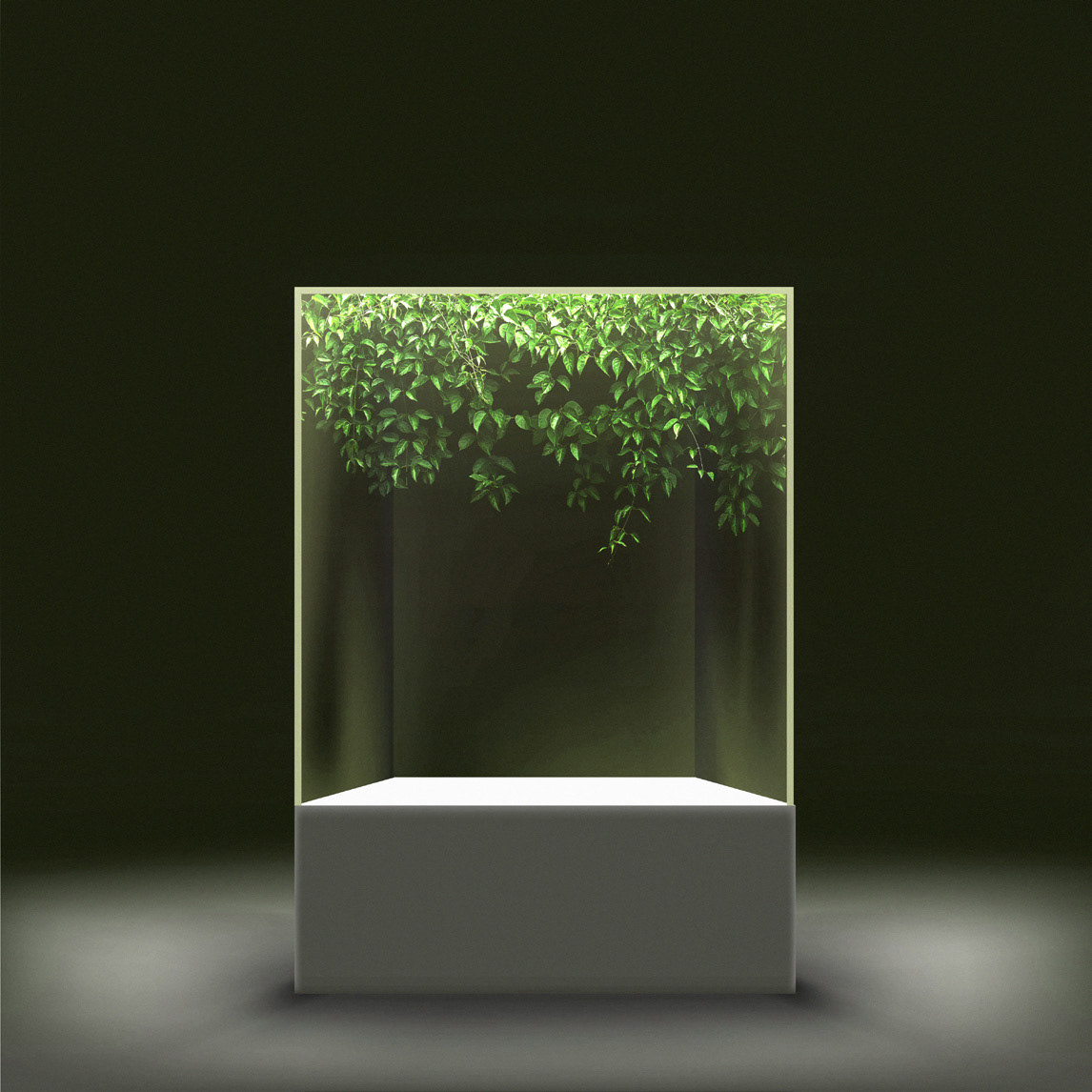 Sensory_Room_Eco/Nature