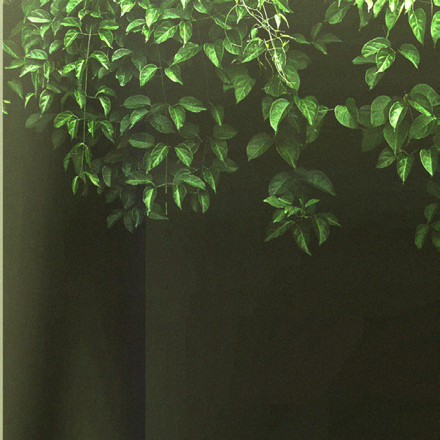 3 - Ivy overtakes/fills glass cube.