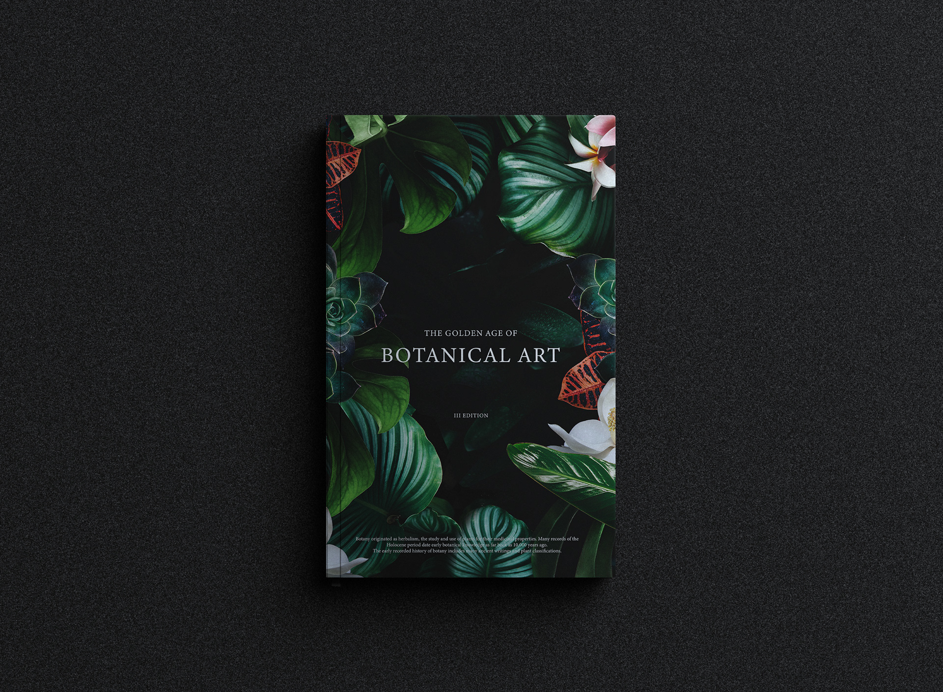 Soraia_Festa_The_Golden_Age_Cover