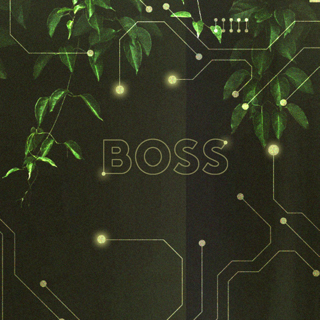 6 - Ending on the BOSS Logo.