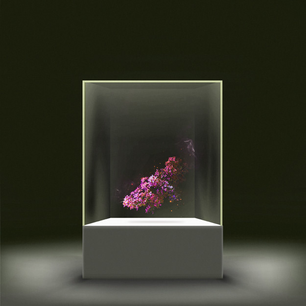 1 - Flowers grow in a controlled environment.
