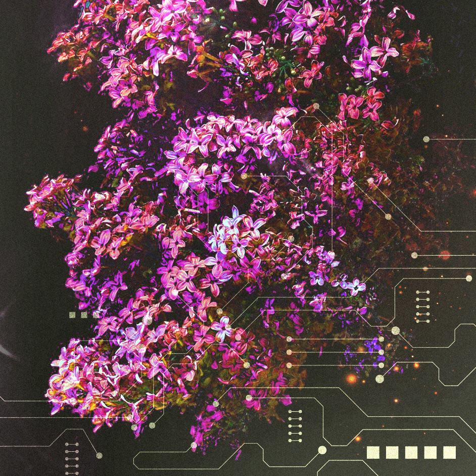 4 - Close up, shifting the focus between the flowers and the circuits.