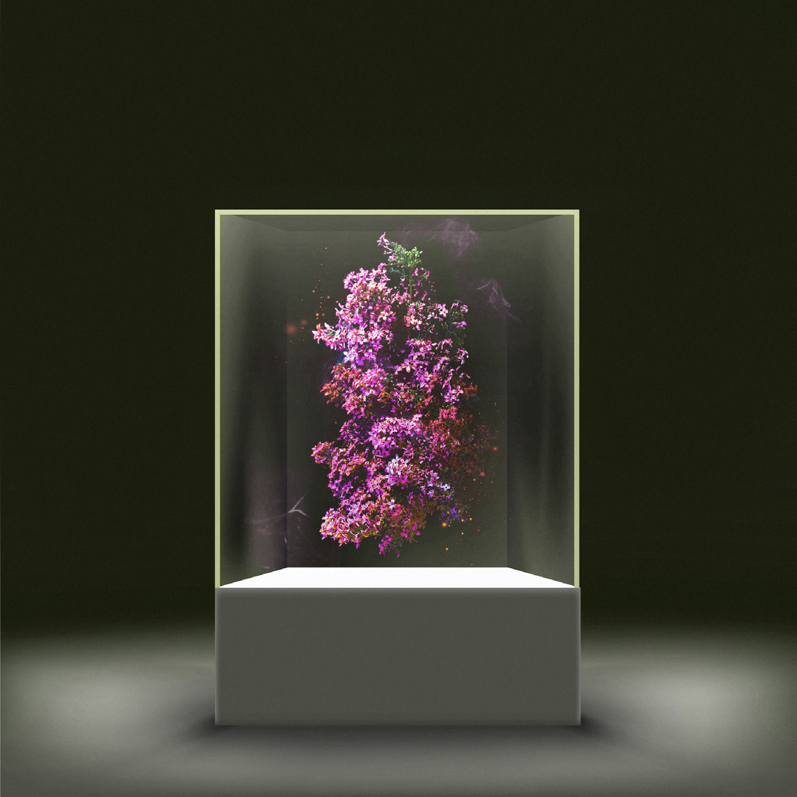 Sensory_Room_Fragrance
