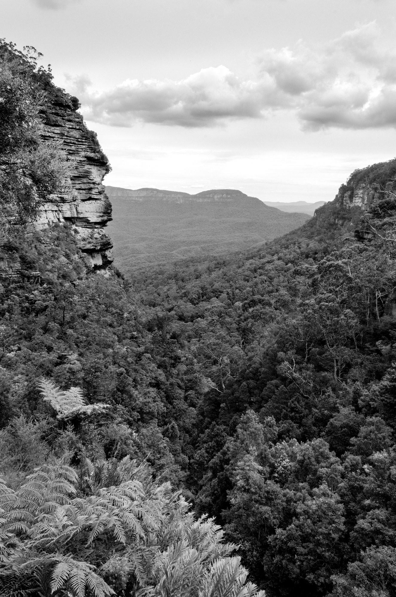 View from lookout at top of Bridal Veil Falls into the Jamieson Valley in the Blue Mountains
