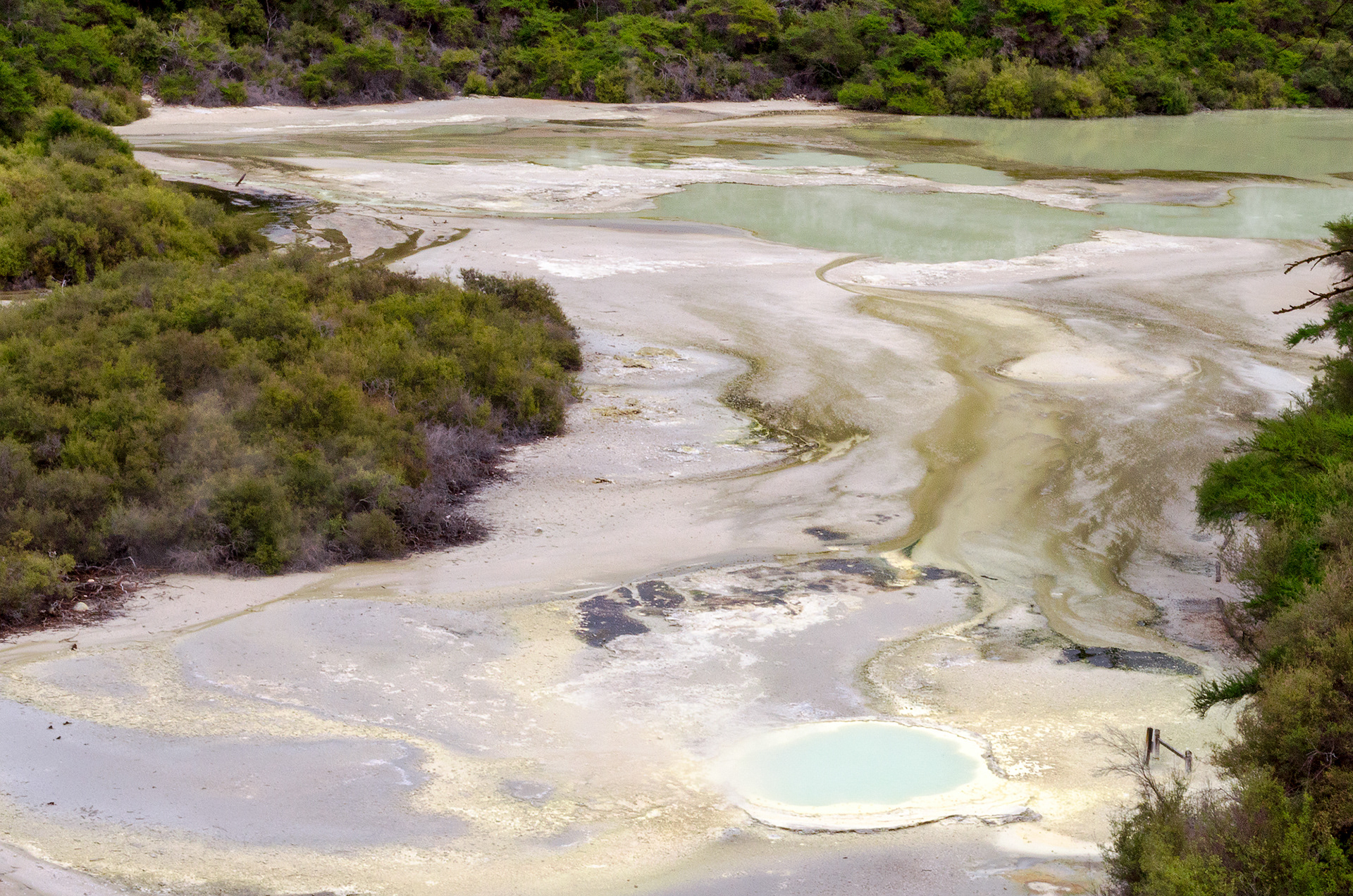 The diverse landscape of the Wai-O-Tapu geothermal area in Rotorua, New Zealand