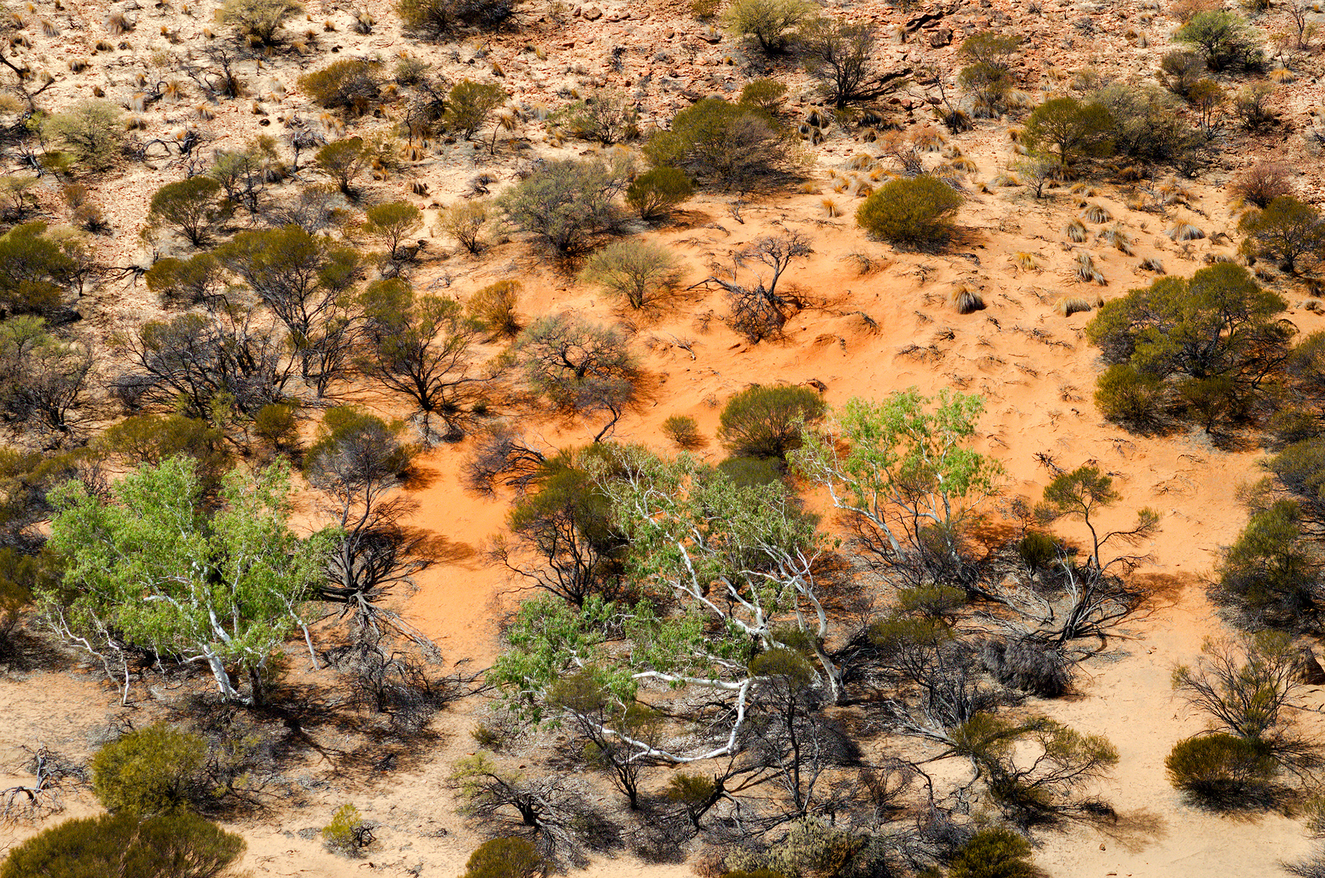 The rich orange hues of the Murchison River Gorge in Kalbarri National Park, Western Australia