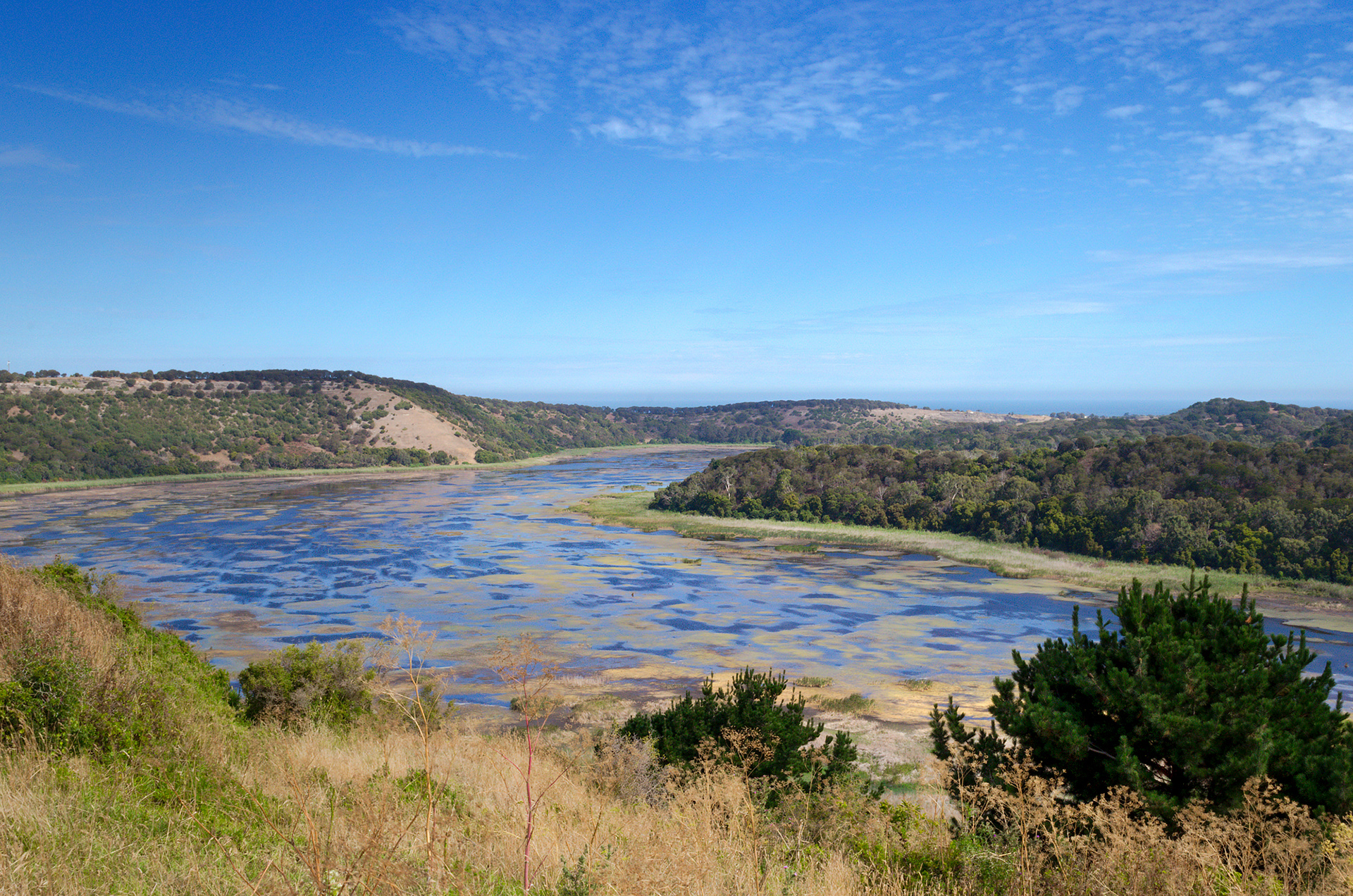 Looking into the extinct volcanic crater and lake of Tower Hill Nature Reserve
