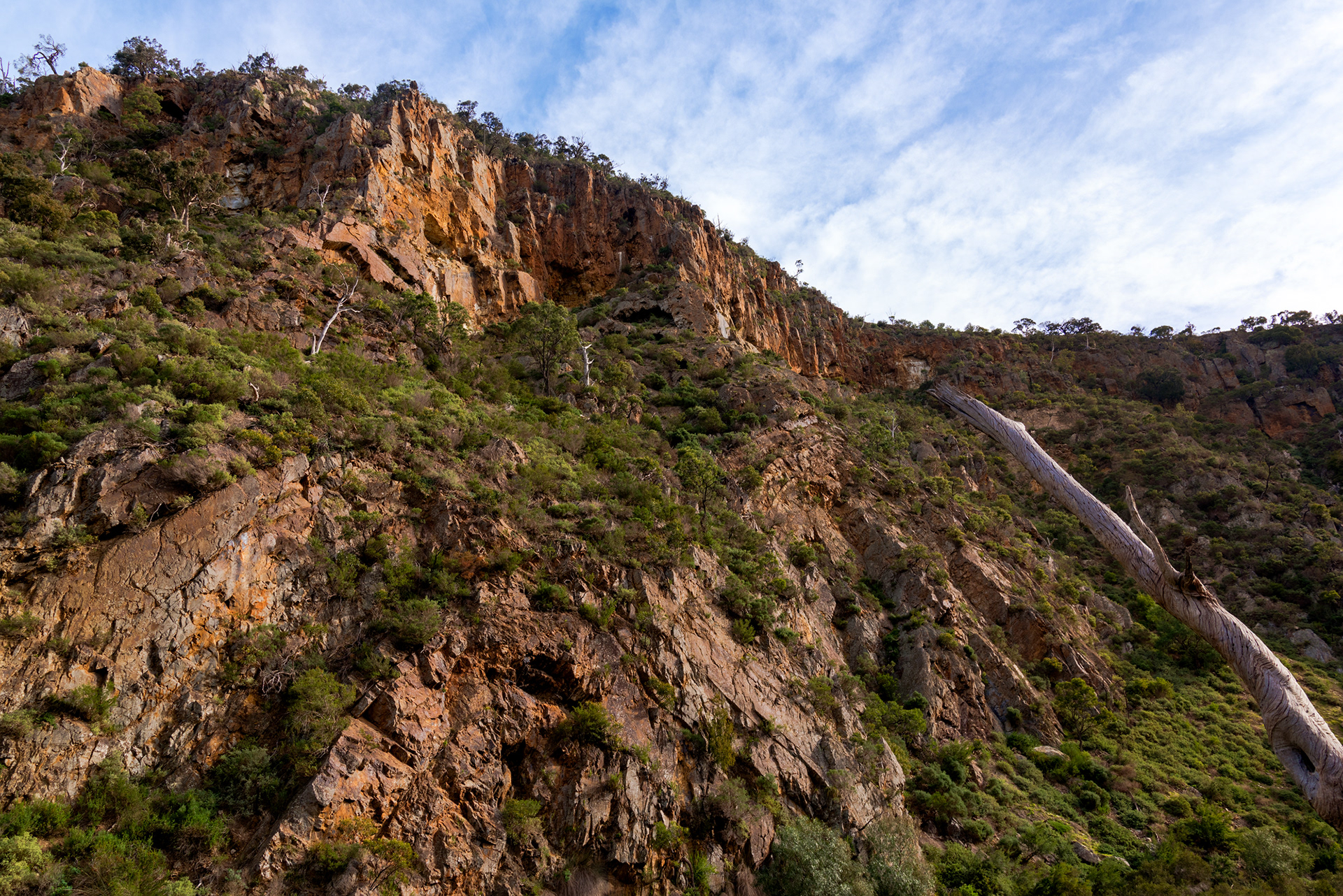 A recumbent set of turbidites at Werribee Gorge State Park, Victoria