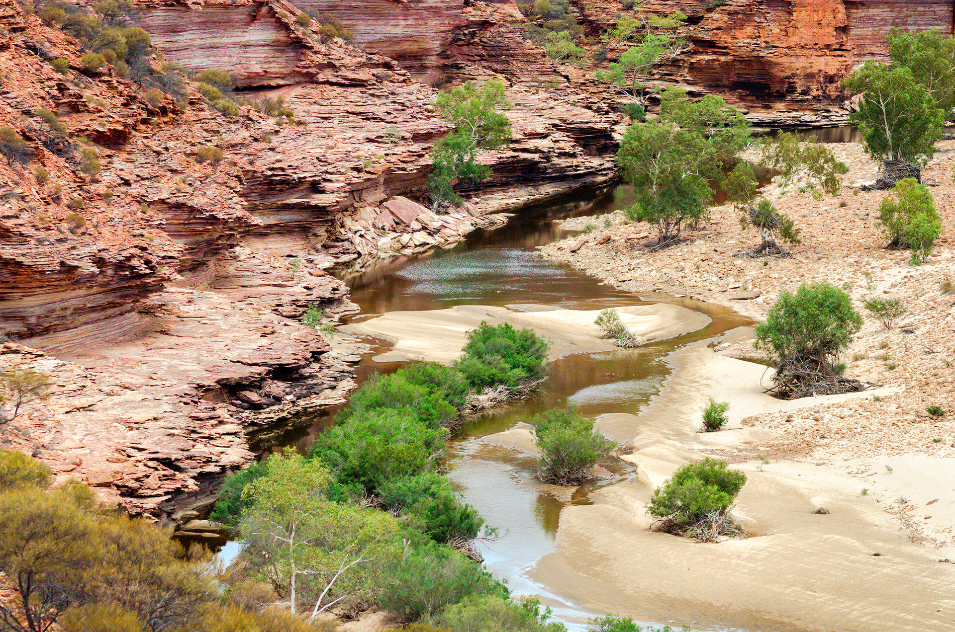 The Murchison River winding its way through the red sandstone gorges of Kalbarri National Park in Western Australia
