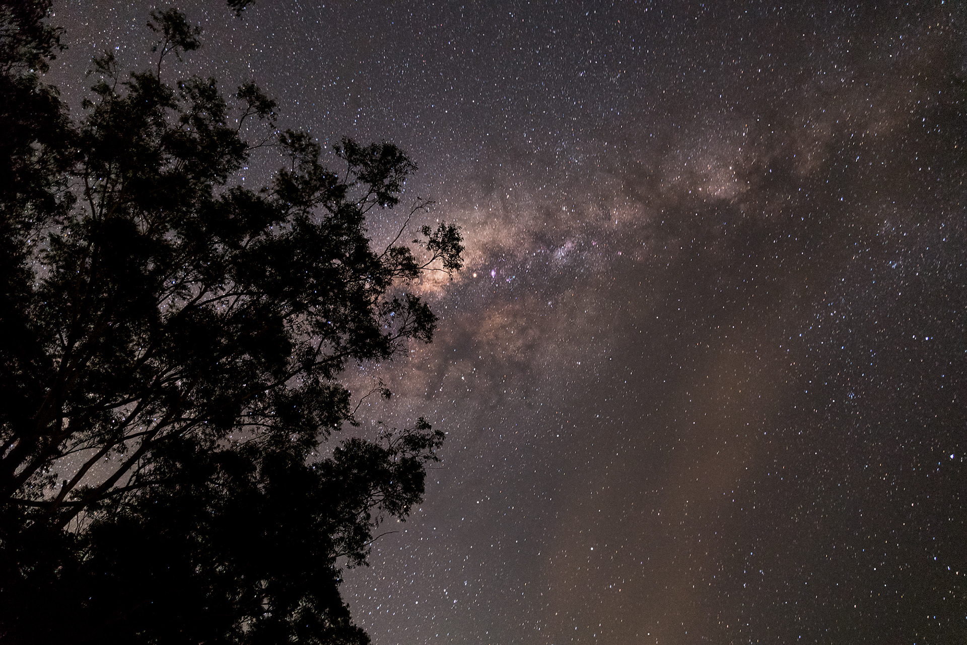 The Mliky Way as seen from the Glass House Mountains National Park in Queensland, Australia