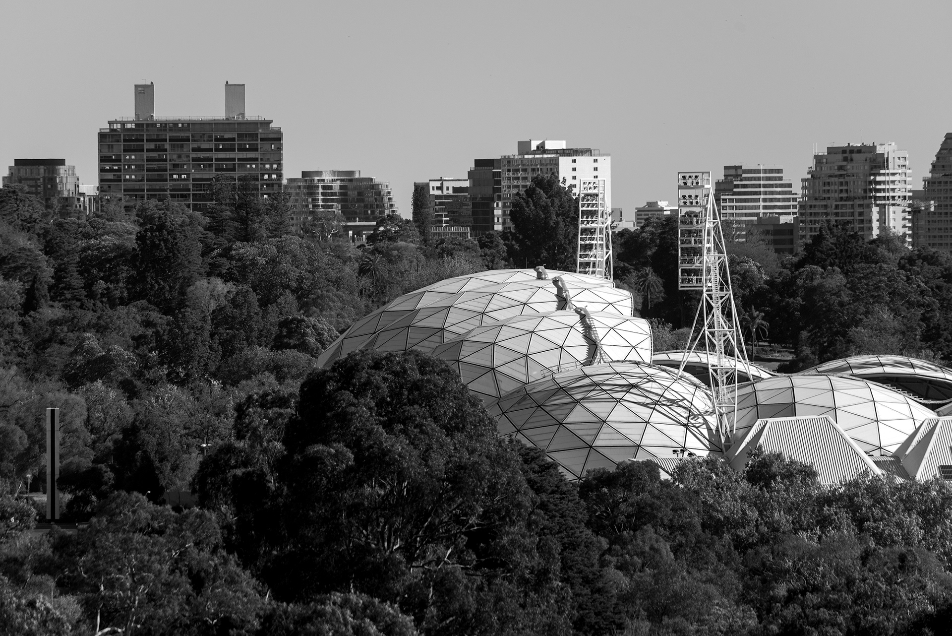 The Melbourne Rectangular Stadium, also known as AAMI Park features a "Bioframe" design with a geodesic dome roof