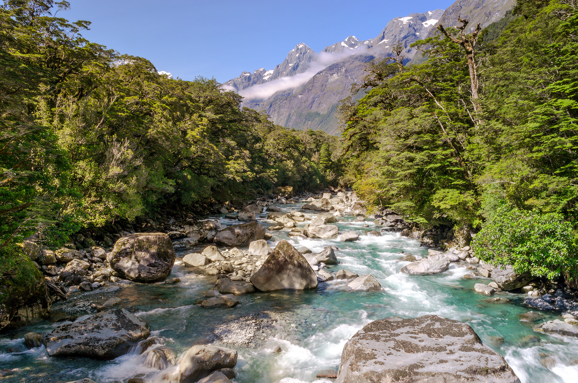 The Tutoko River and Mt Madeline as seen from the historic suspension bridge in Milford Sound, New Zealand